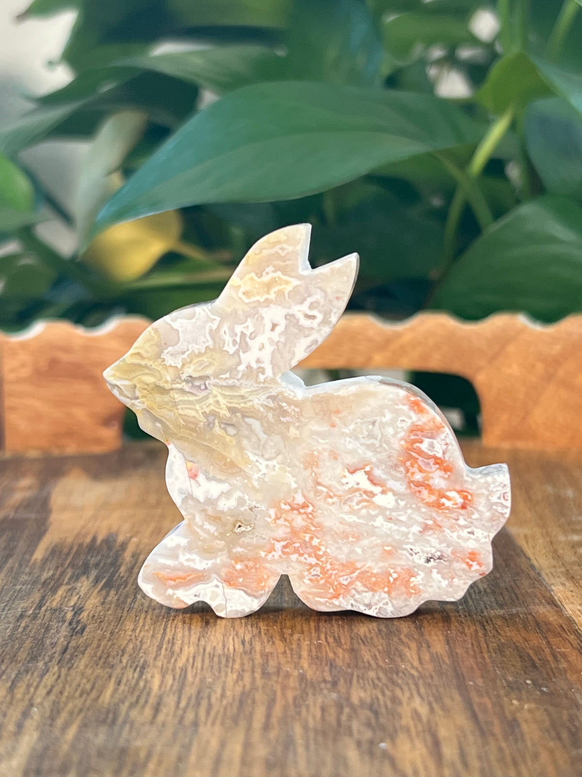 Sumatra Plume Agate Bunnies