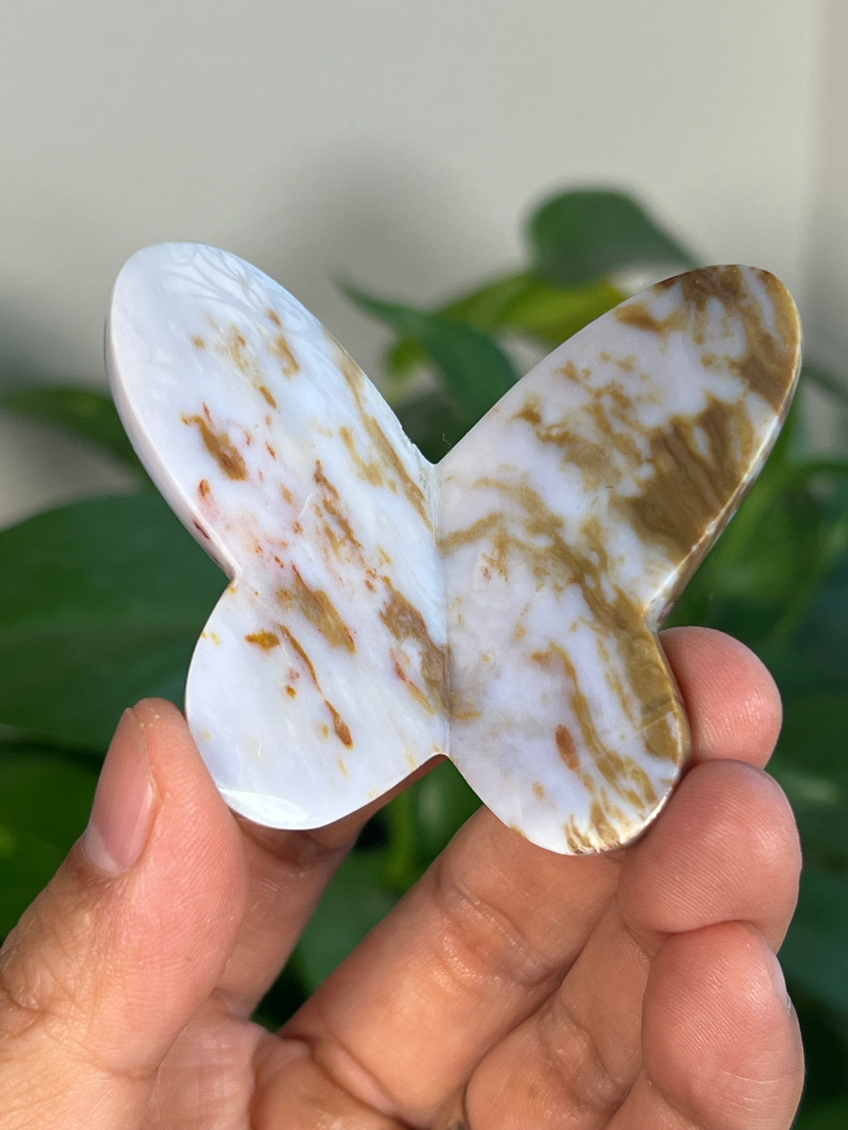 Milky River Jasper 3D Butterflies