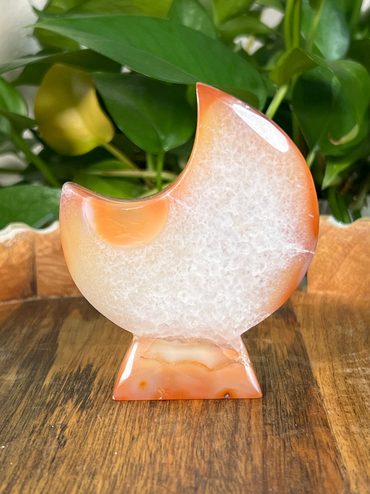 Red Carnelian Self Standing Moons