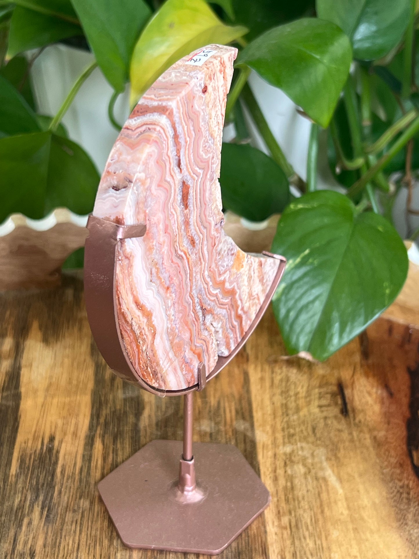Crazy Lace Agate Moon Z