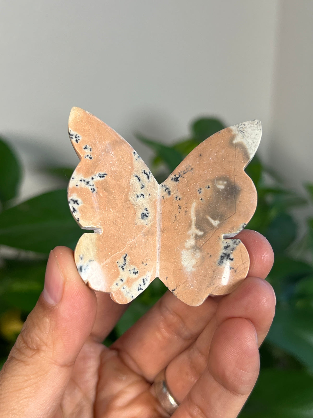 Peachy Pink Dendritic Jasper 3D Butterflies