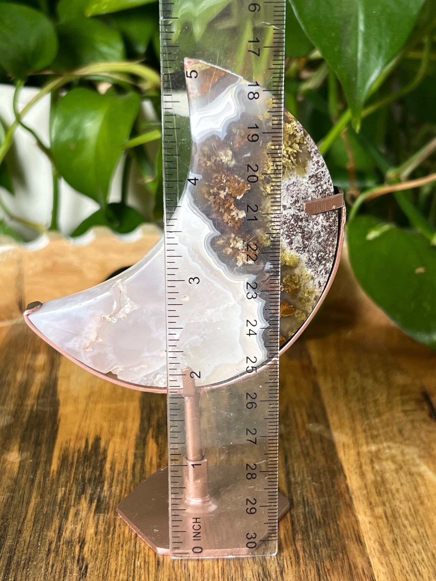 Scenic Moss Agate Moon