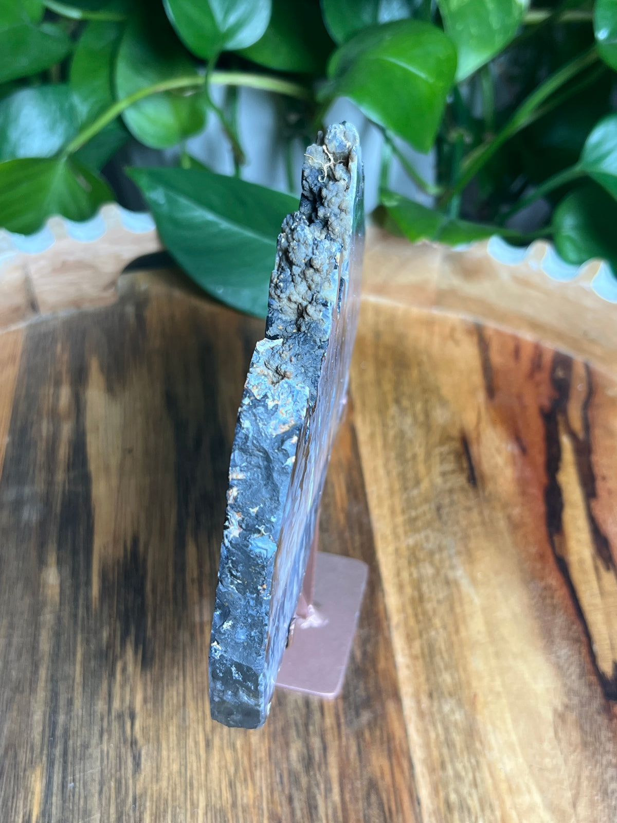 Blue Plume Agate Slab: X