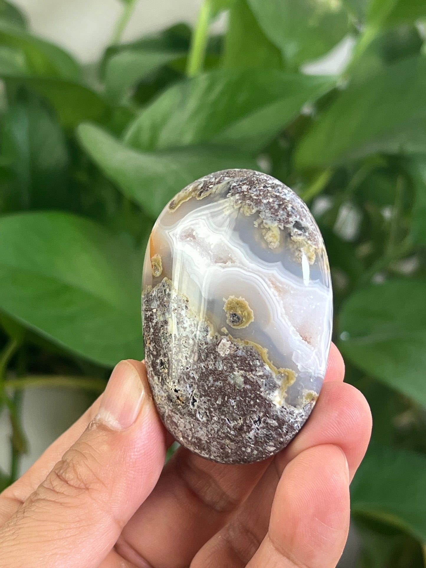 Scenic Moss Agate Palmstone: BB
