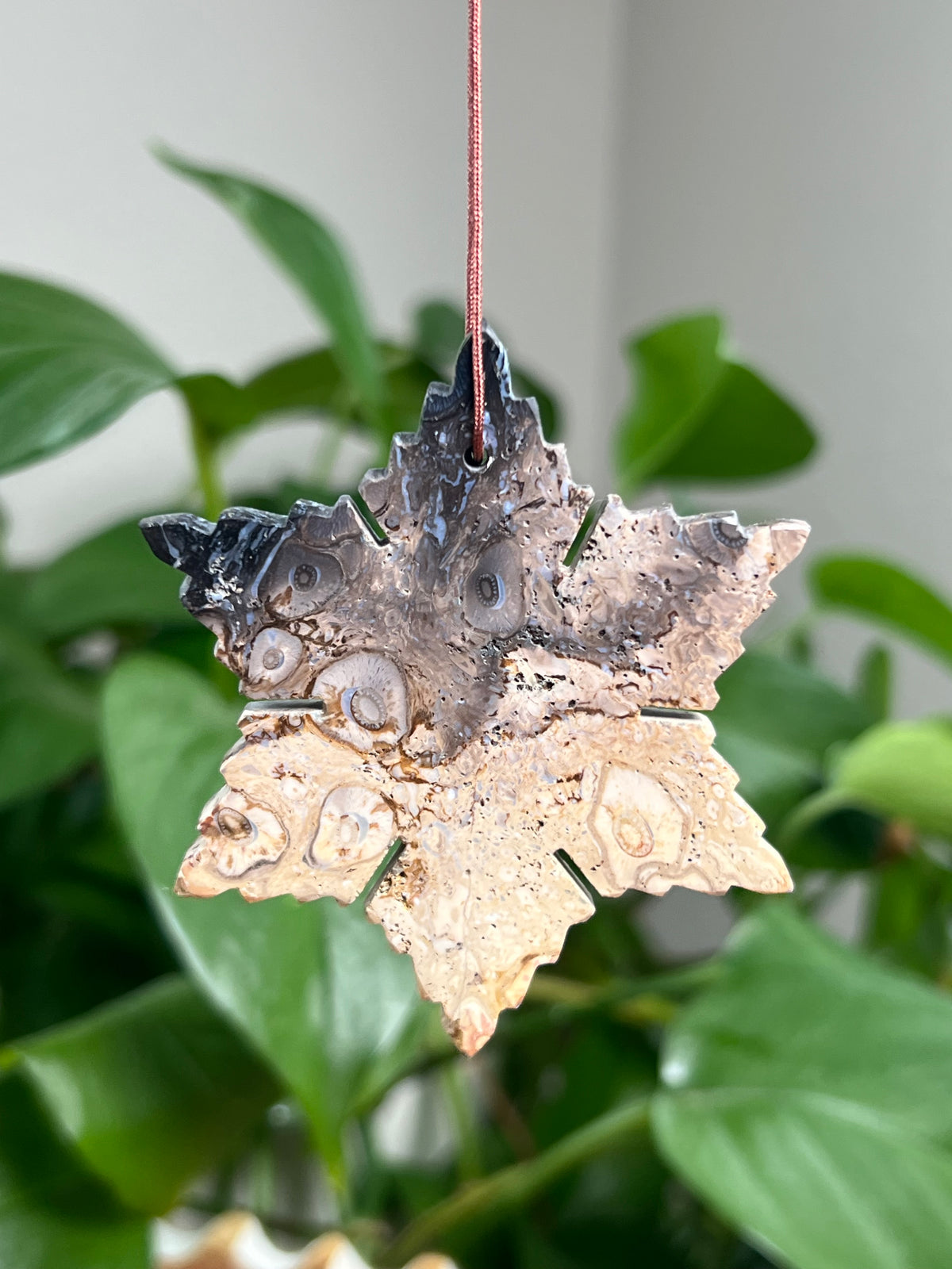 Palm Root Ornament Snowflake: PN