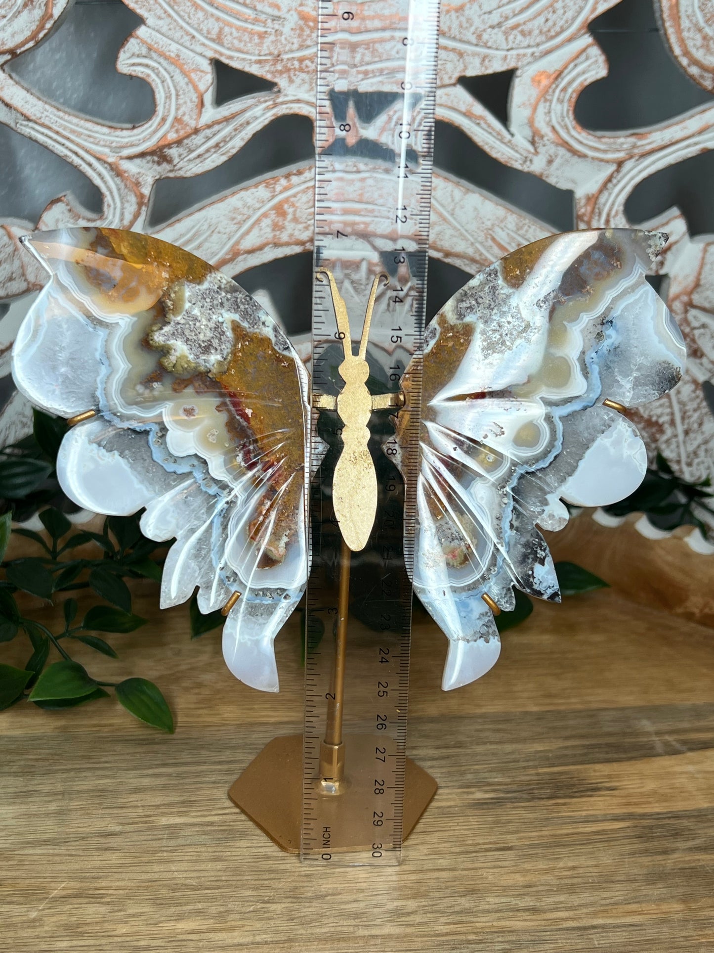 Scenic Moss Agate Wings