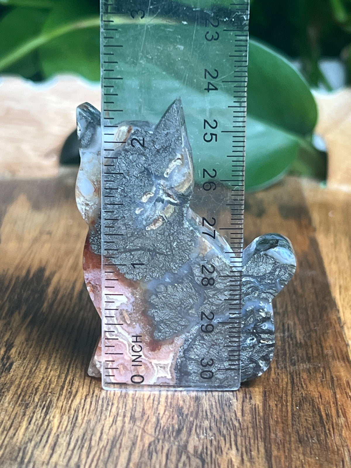 Marcasite Mini Cat: XC