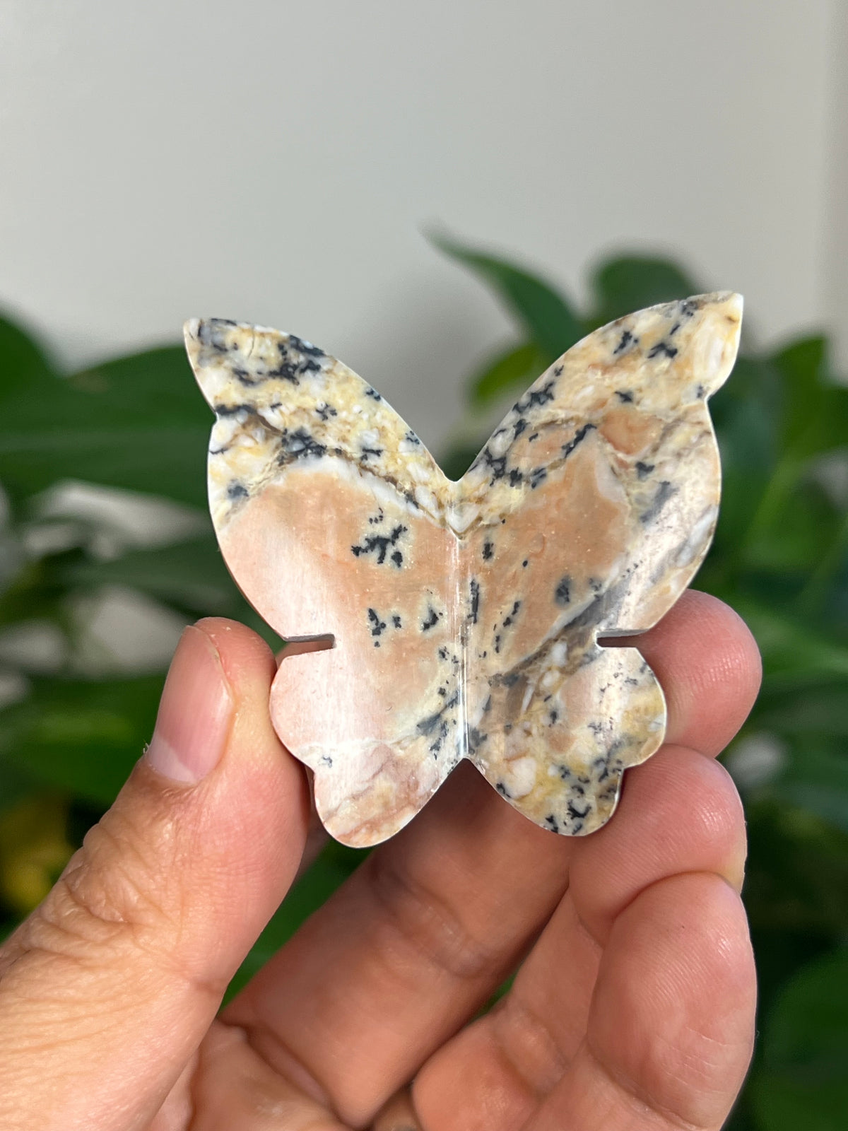 Peachy Pink Dendritic Jasper 3D Butterflies