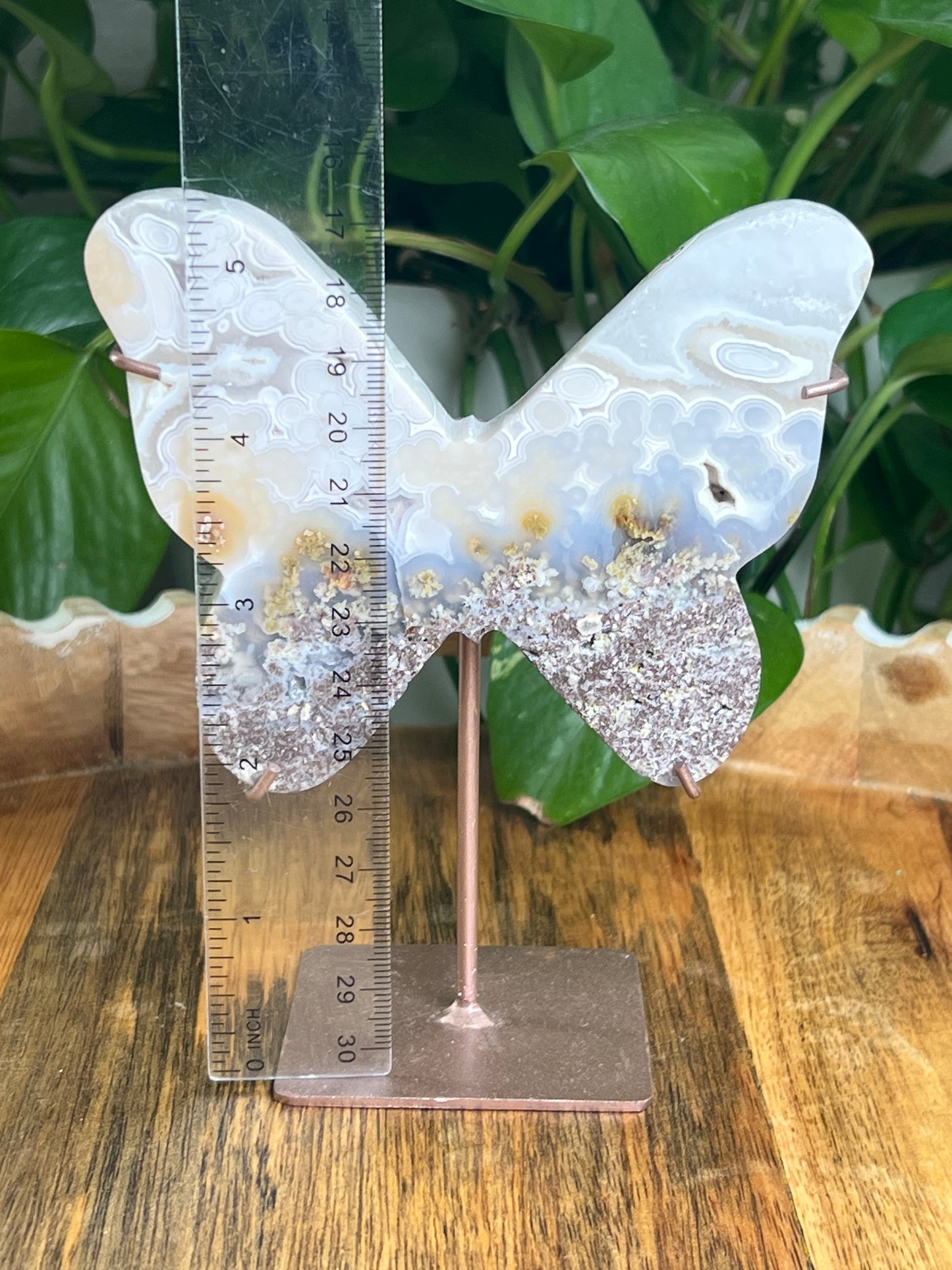 Scenic Moss Agate Butterfly: W