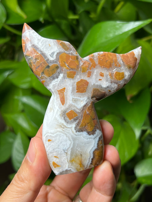 Brecciated Jasper Tail