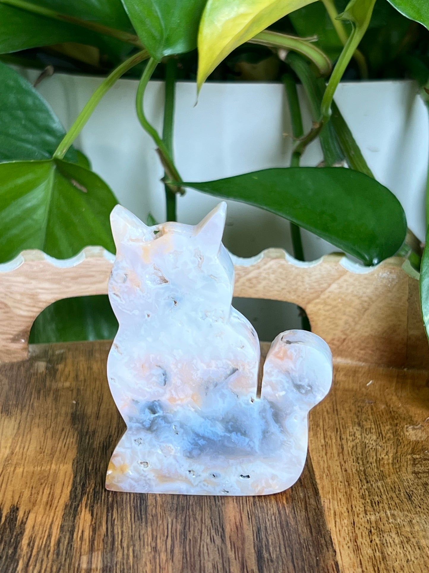 Rainbow Plume Agate Cat K