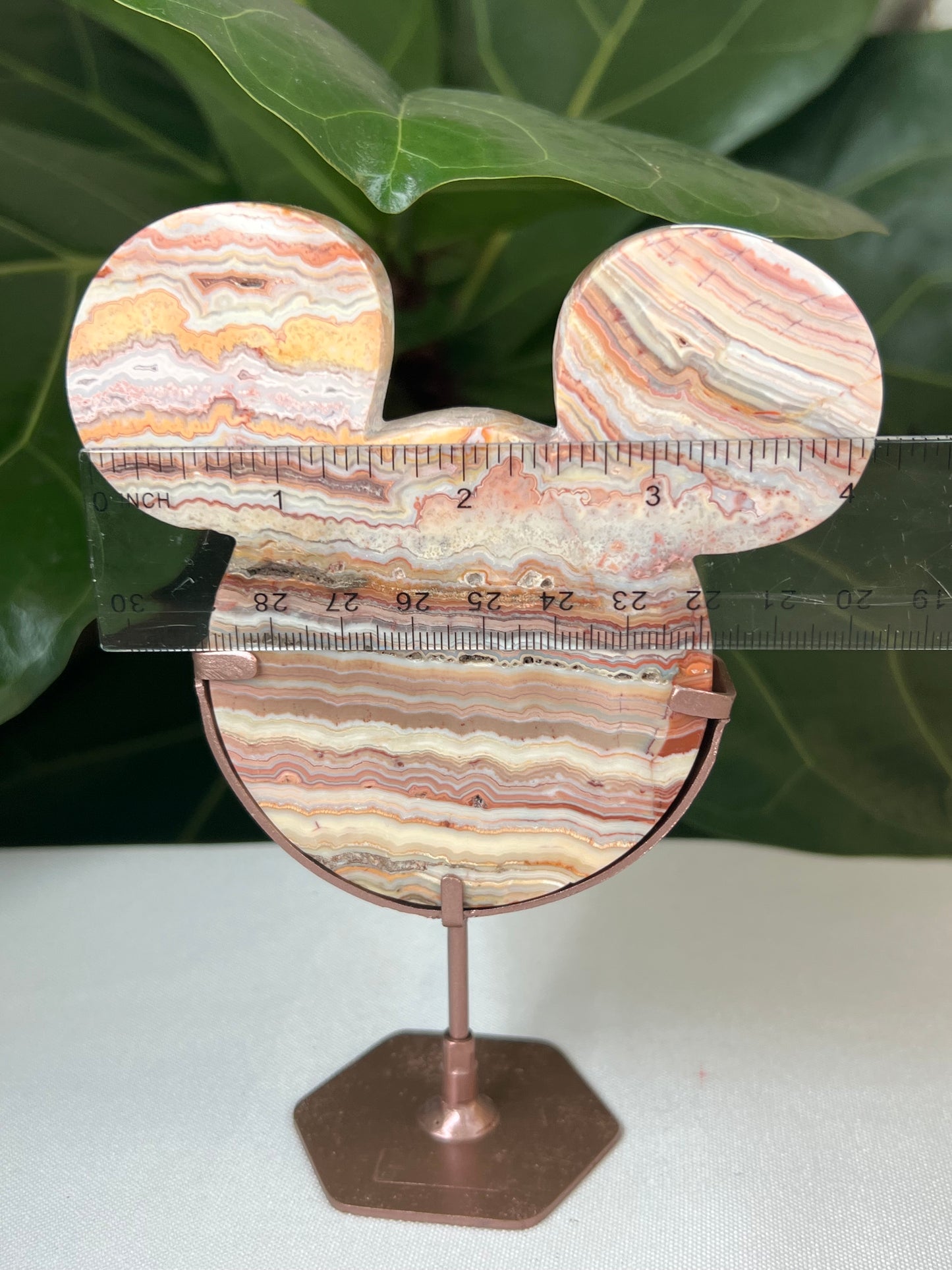 Crazy Lace Agate Bear Head