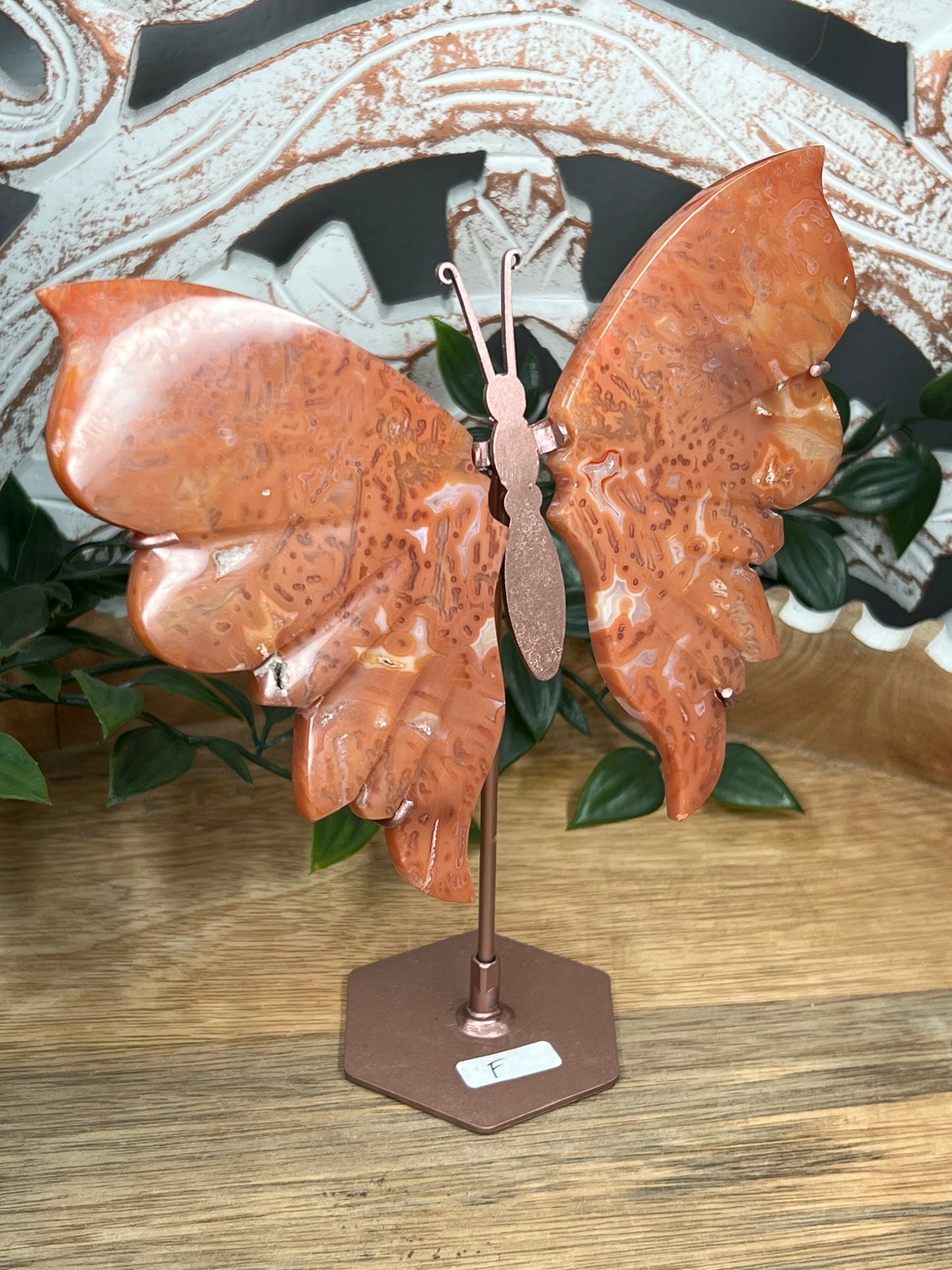 Carnelian Wings