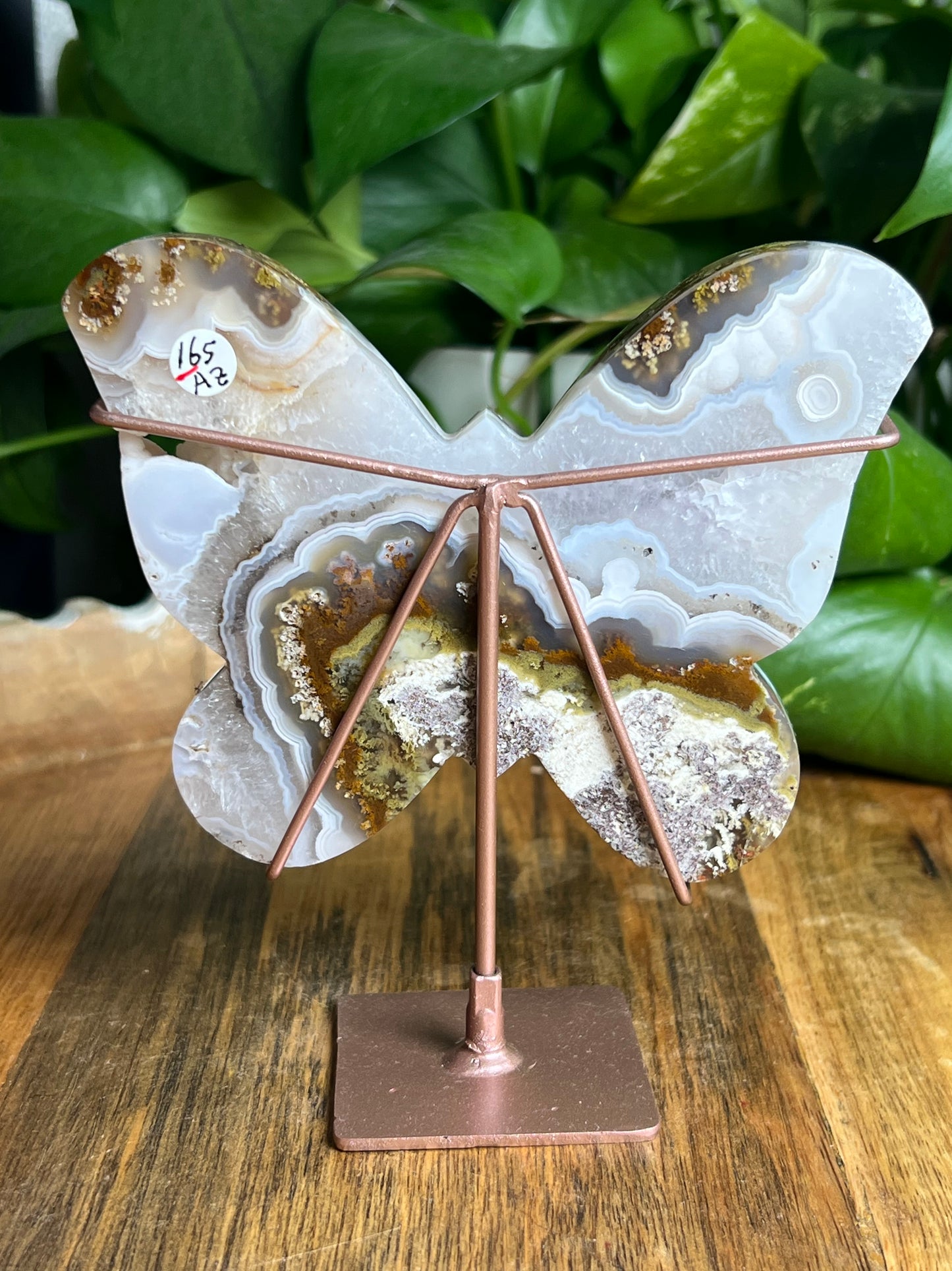 Scenic Moss Agate Butterfly