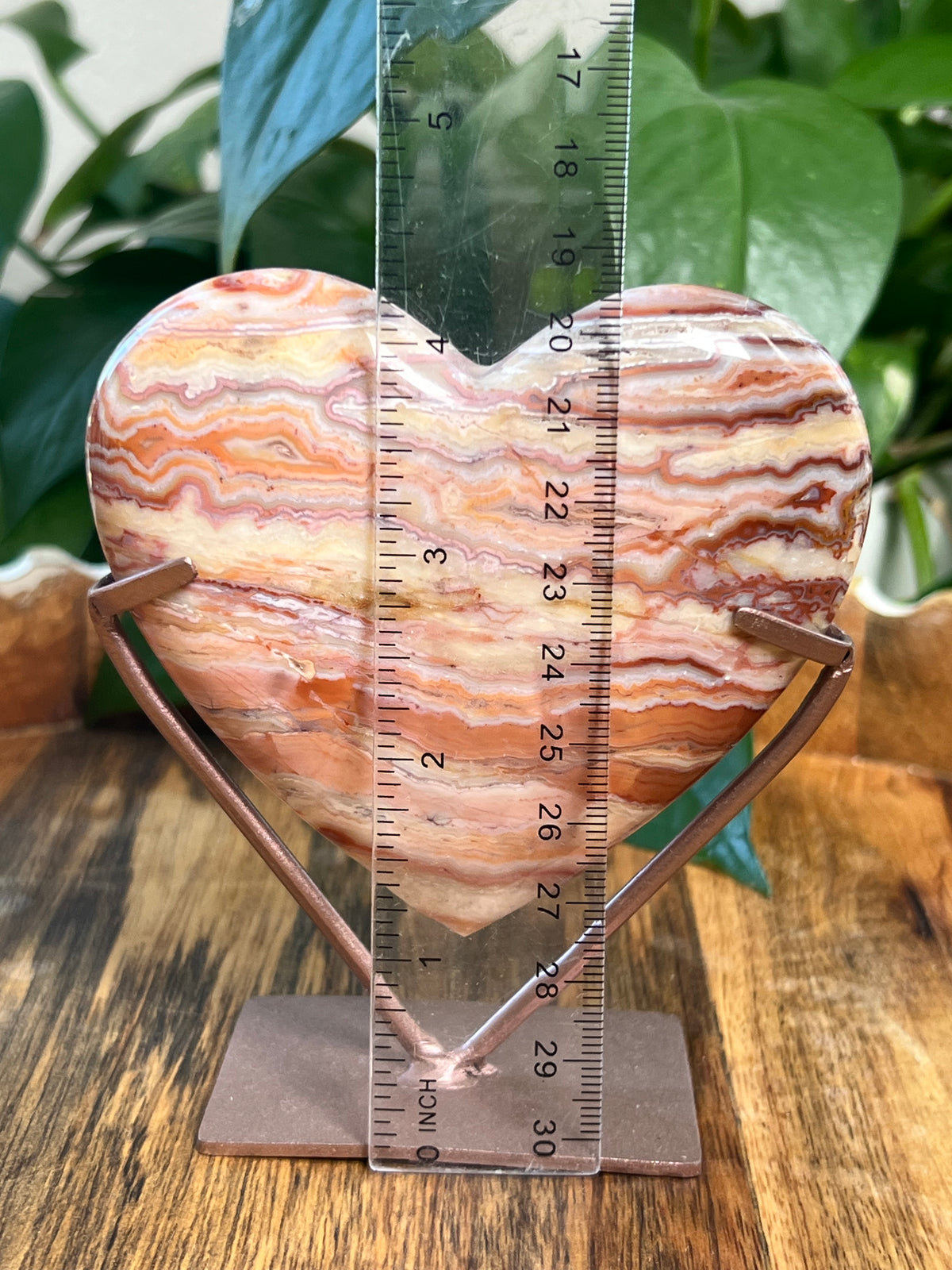 Crazy Lace Agate Heart: Ni