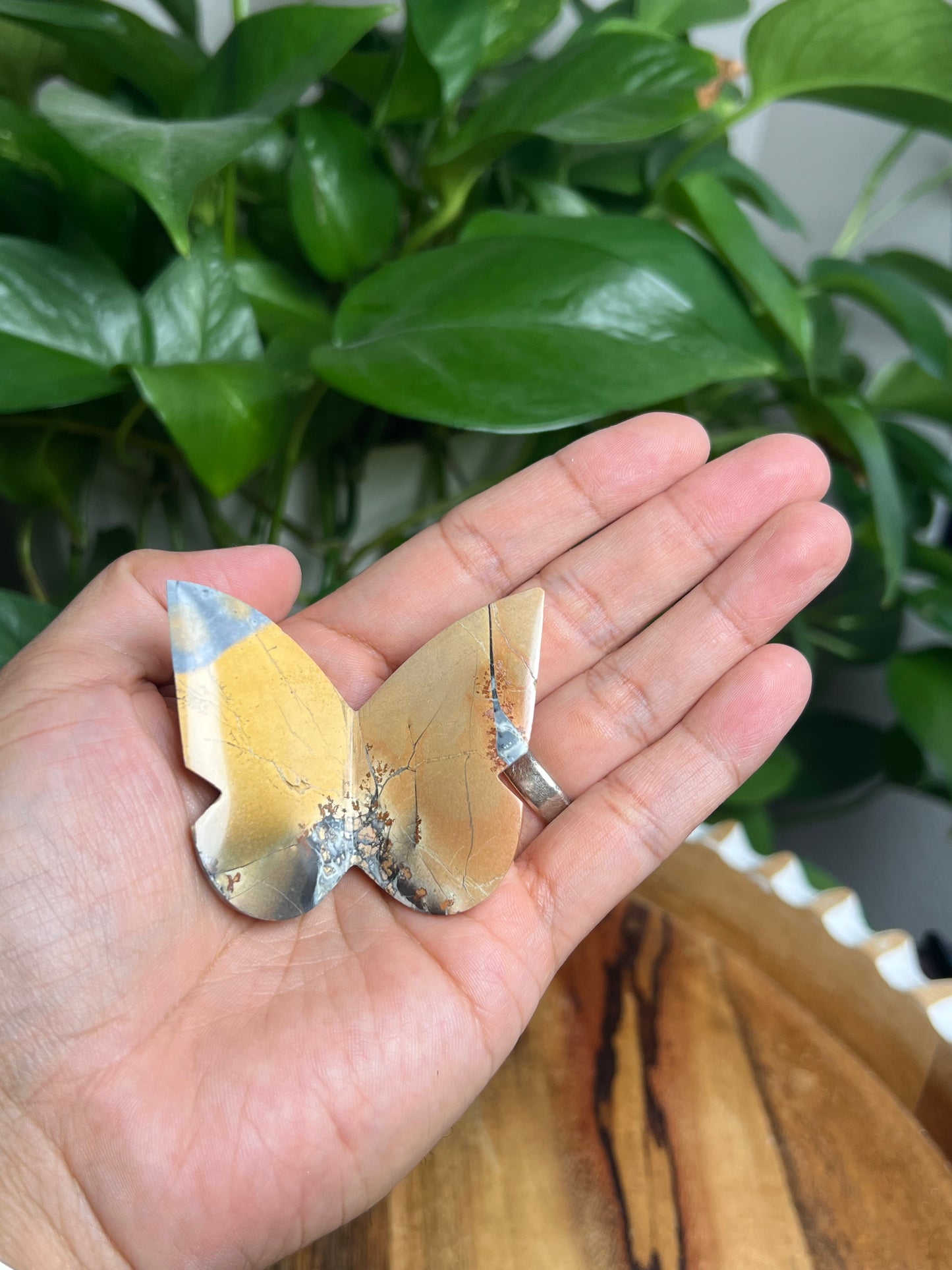 Maligano 3D Butterfly: AK