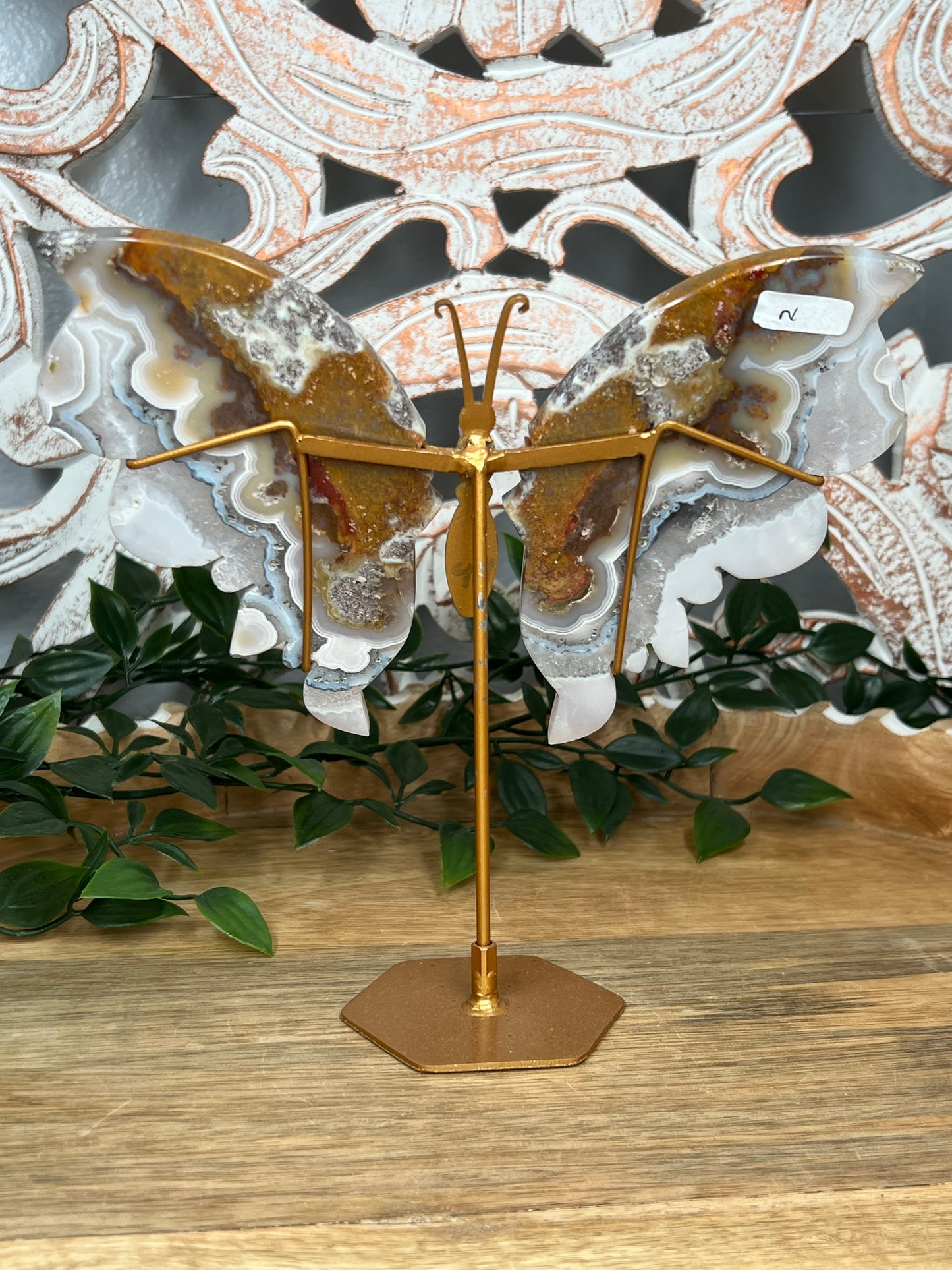 Scenic Moss Agate Wings