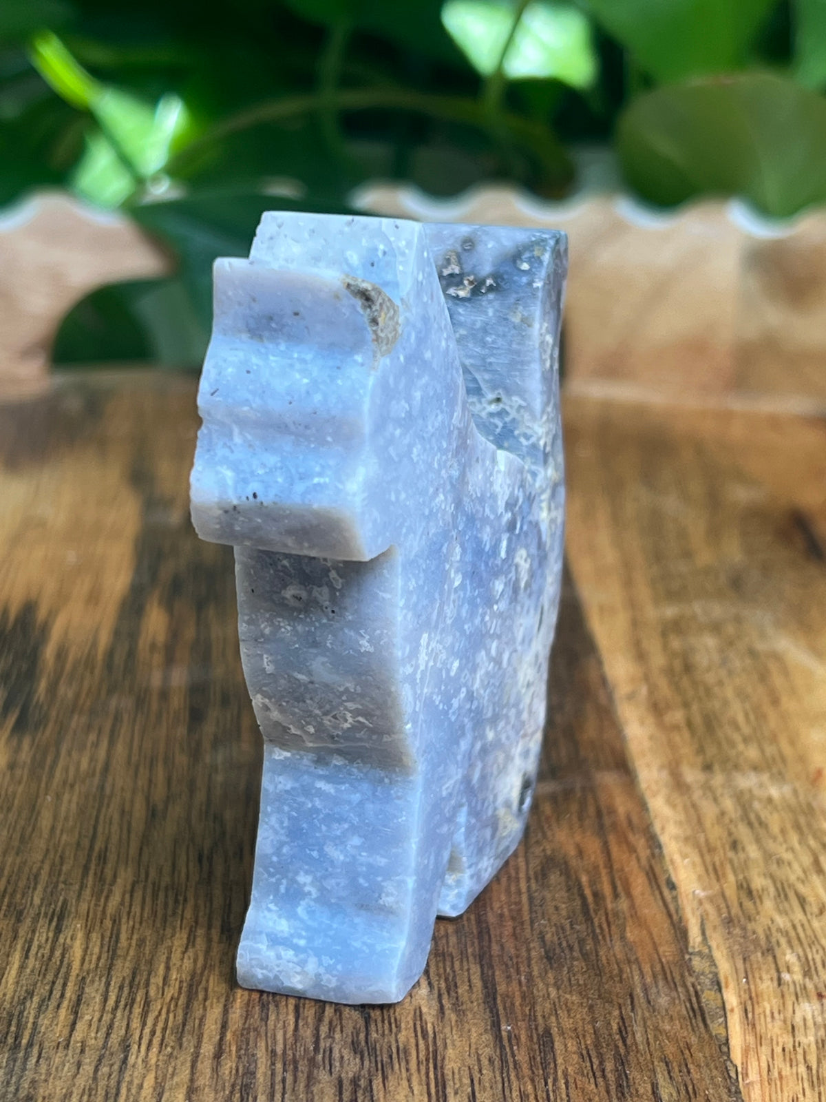 Blue Plume Agate Cat: AG