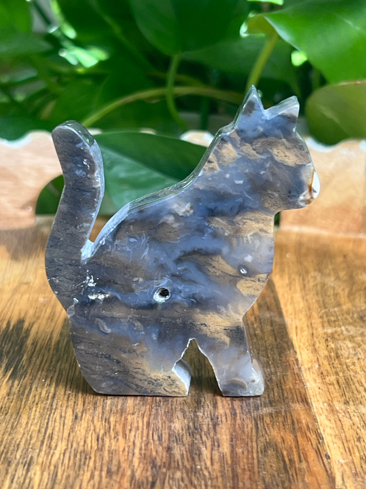 Dendritic Tiger Agate Cat: QB