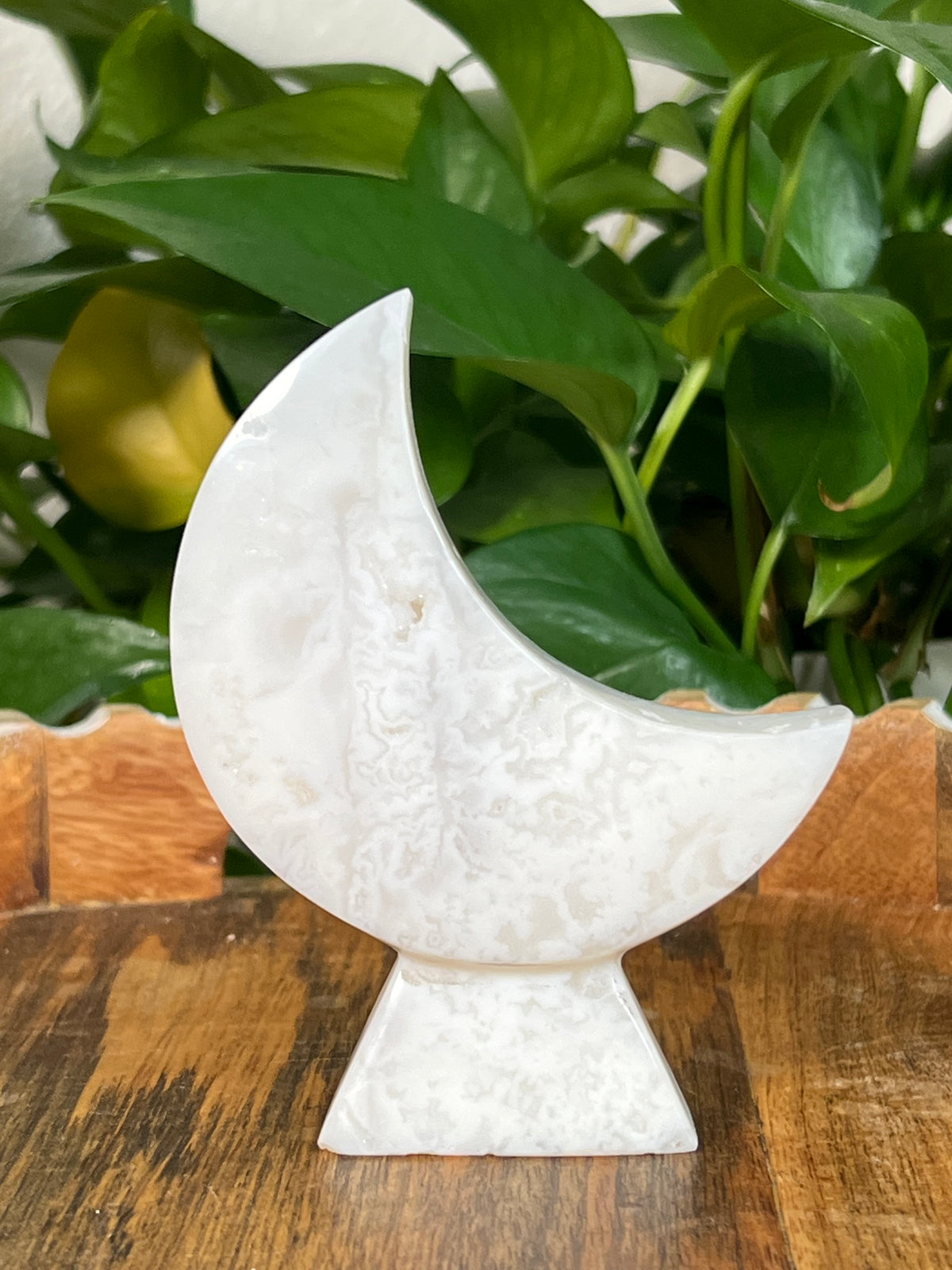 White Plume Agate Self Standing Moons