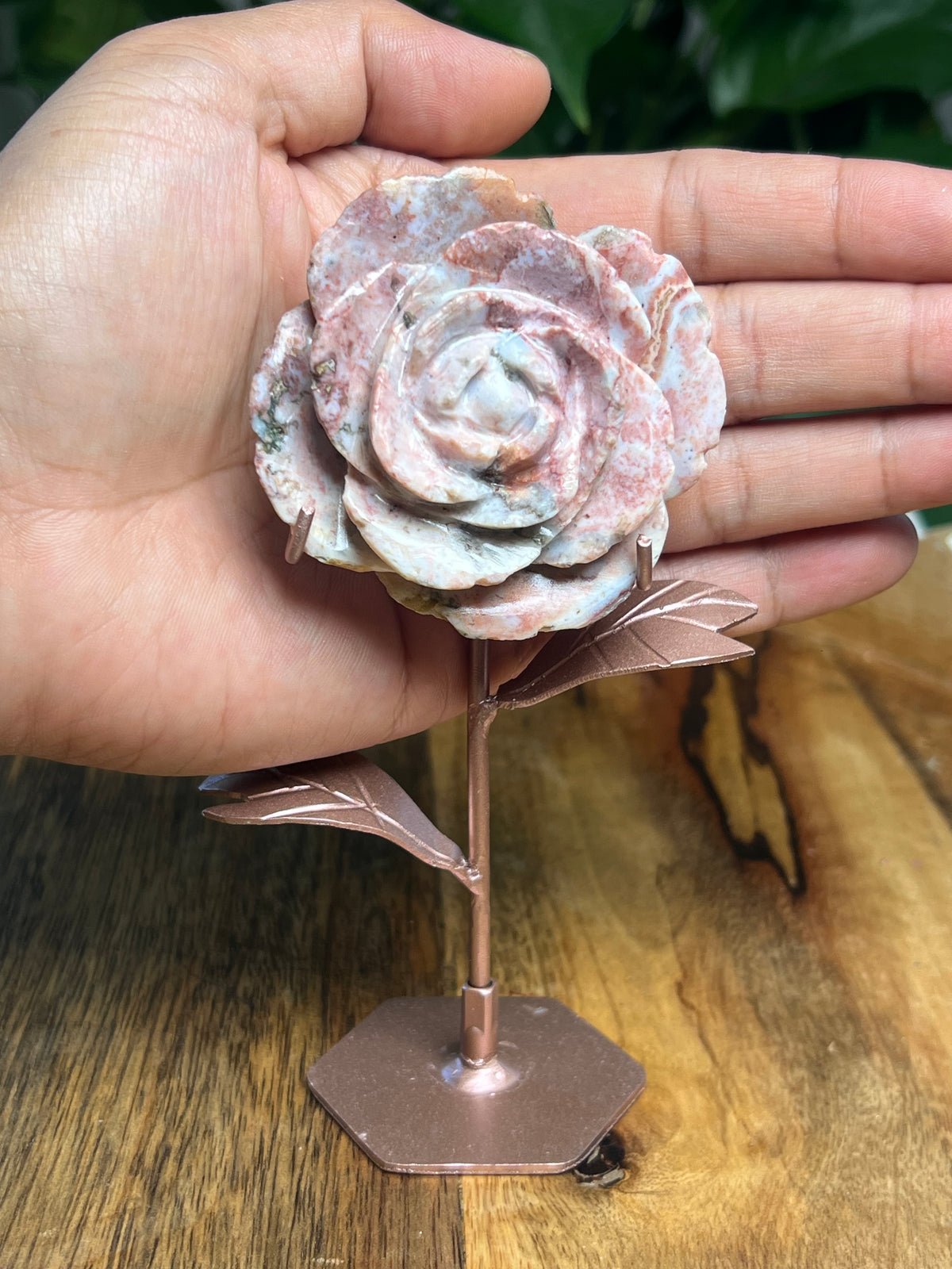 Pink River Jasper Rose: AB