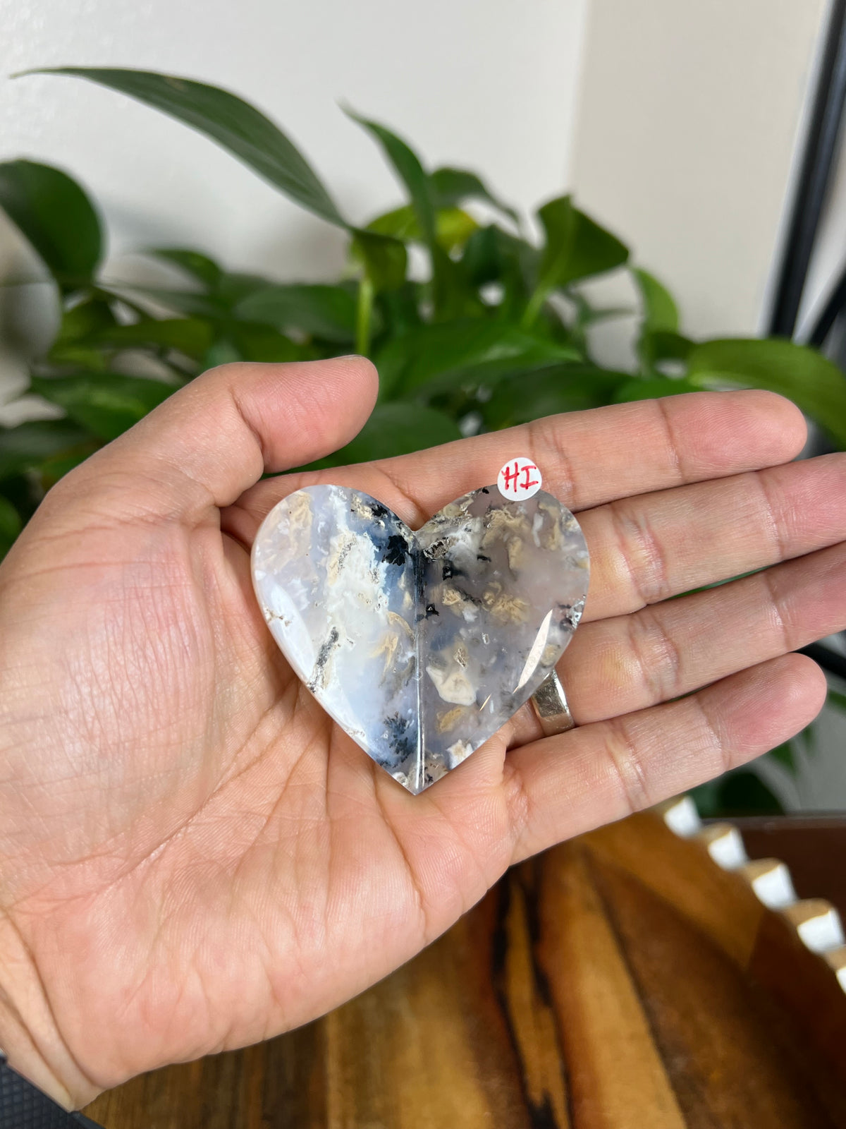 Dendritic Tiger Agate 3D Butterflies