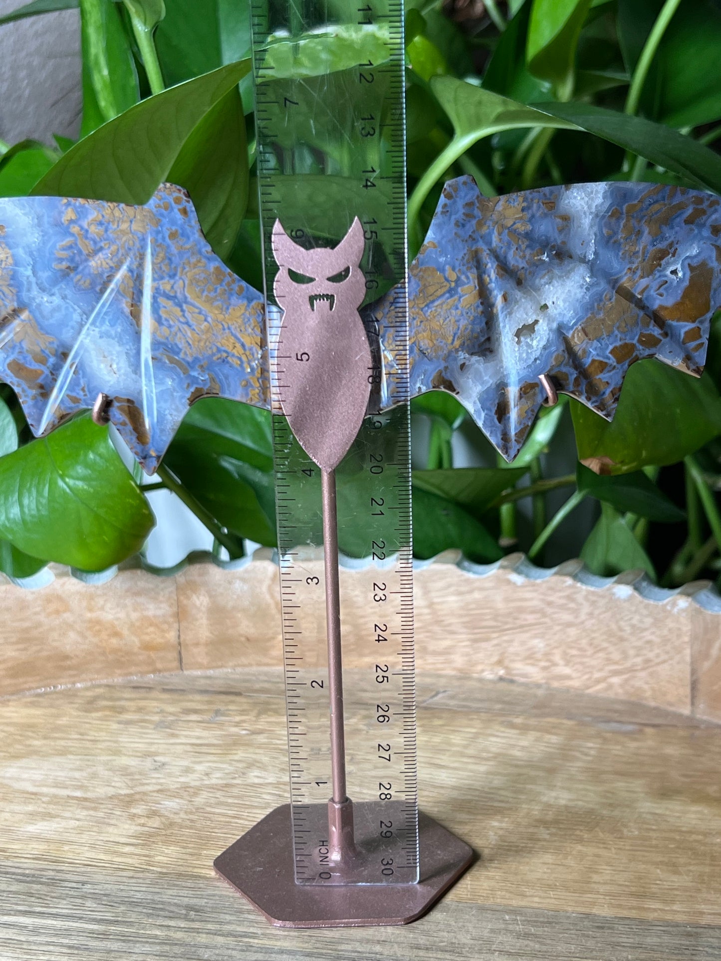 Brecciated Jasper Bat Wings