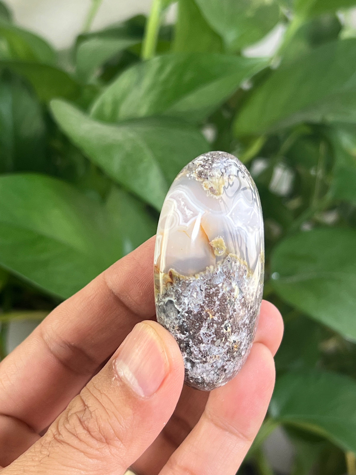 Scenic Moss Agate Palmstone: BB