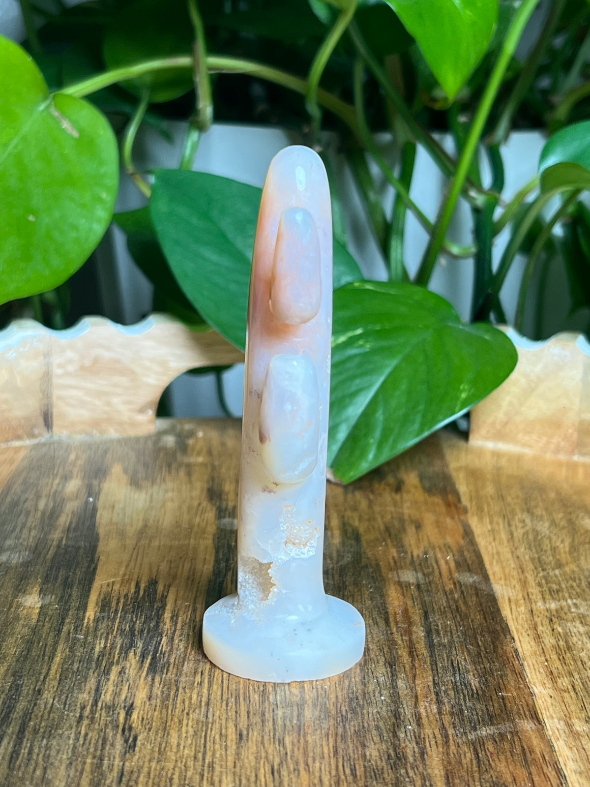 Pink Carnelian Cactus: BA