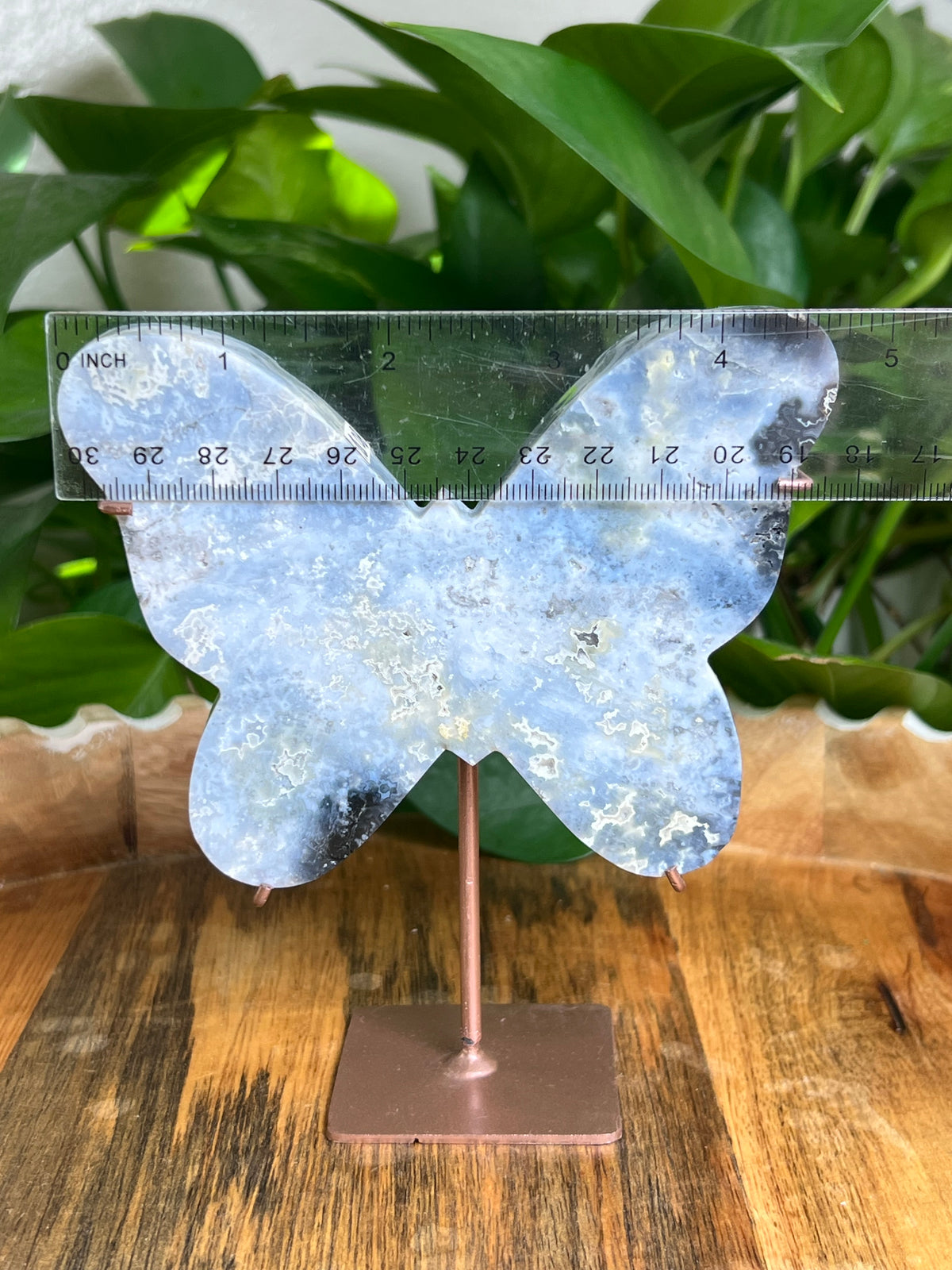 Blue Plume Agate Butterfly: Di