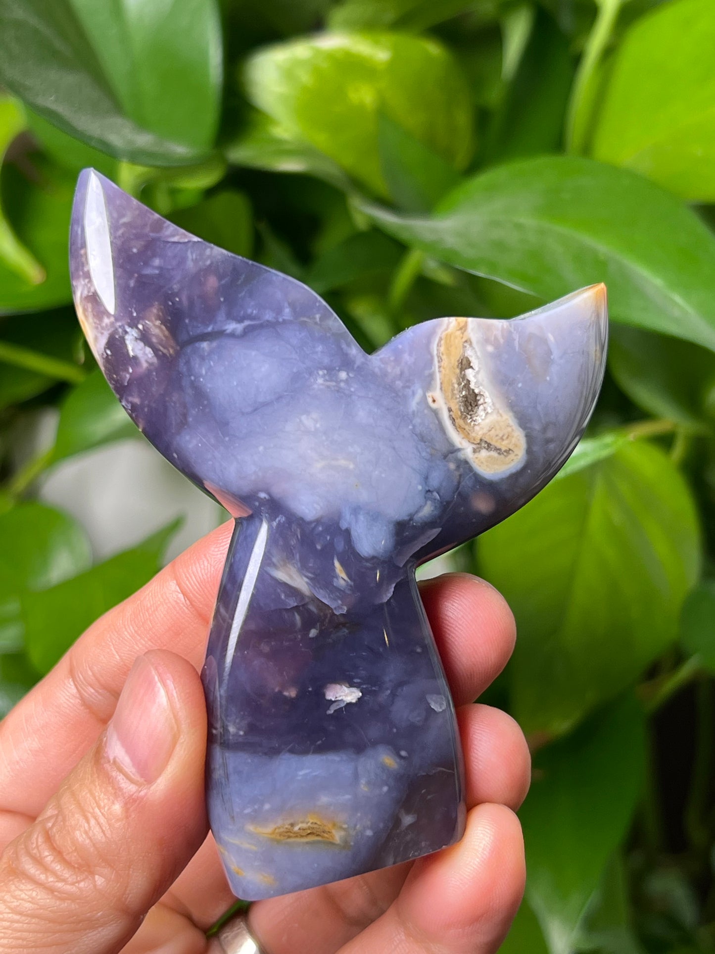 Purple Chalcedony Tail