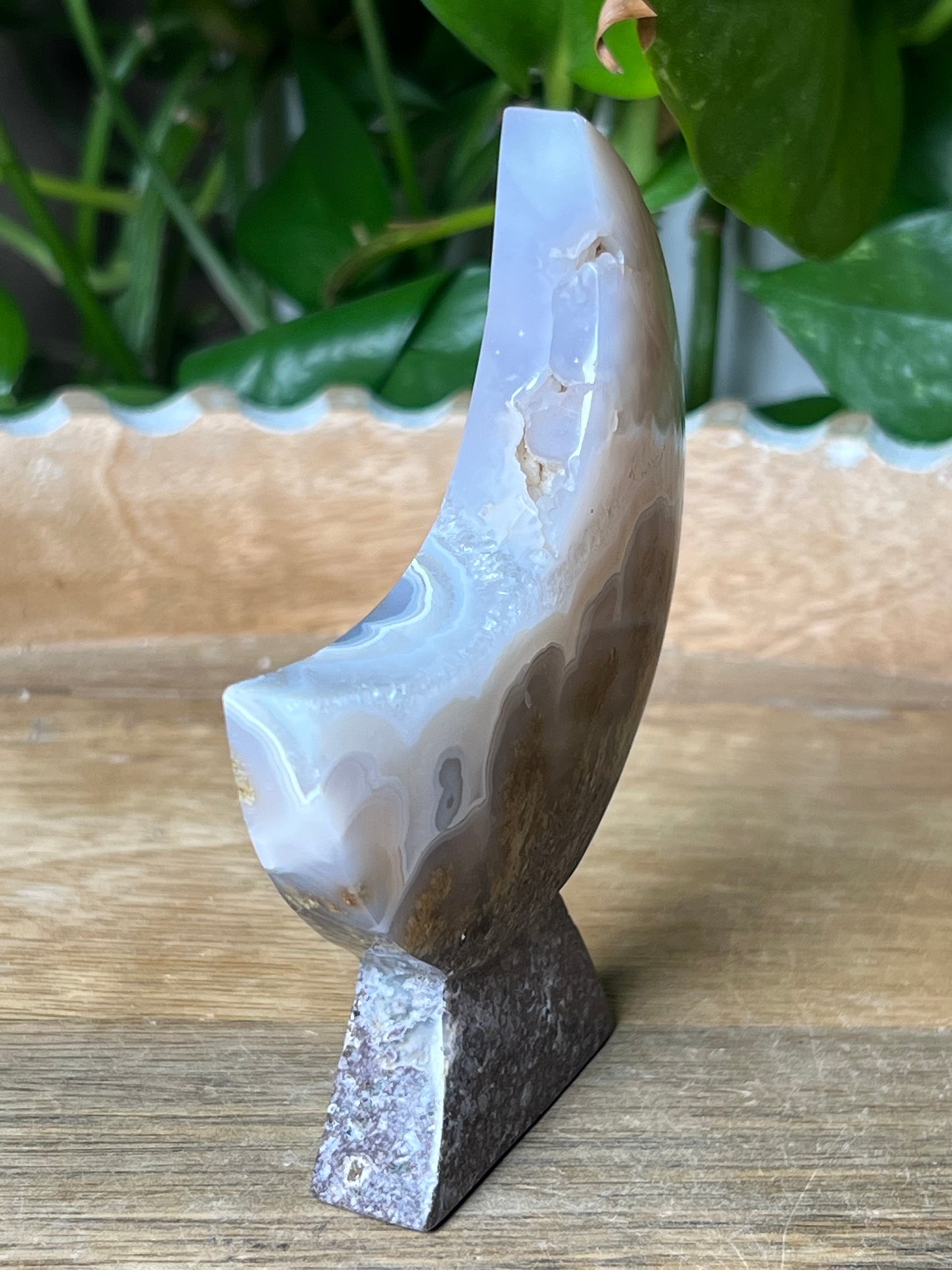 Scenic Moss Agate Moon Stand: PX