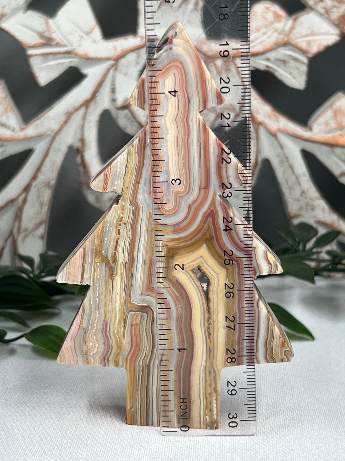 Crazy Lace Agate Tree