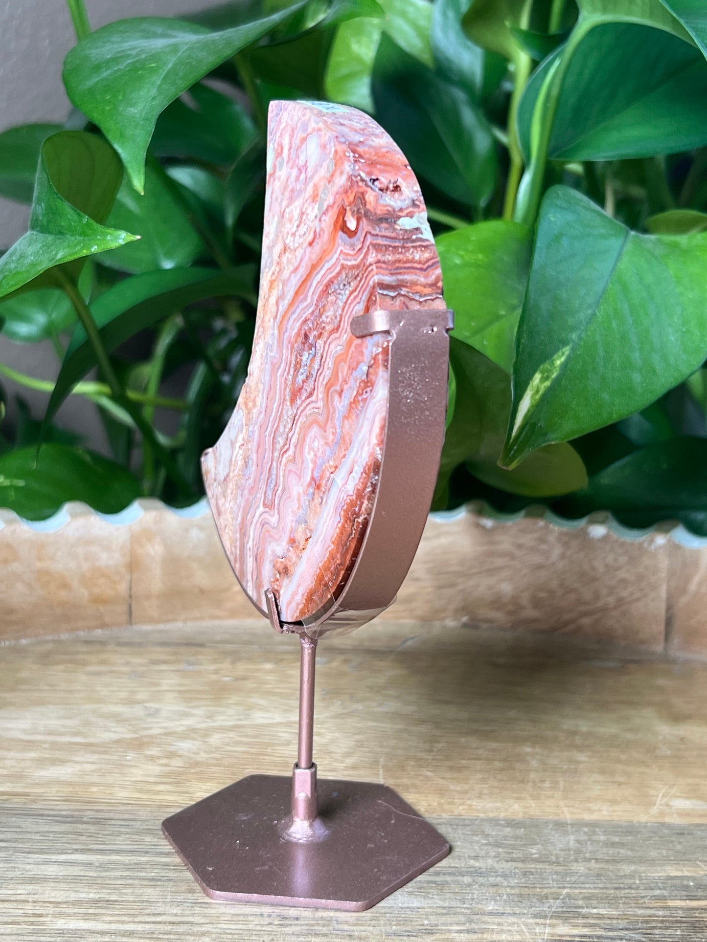 Crazy Lace Agate Moon
