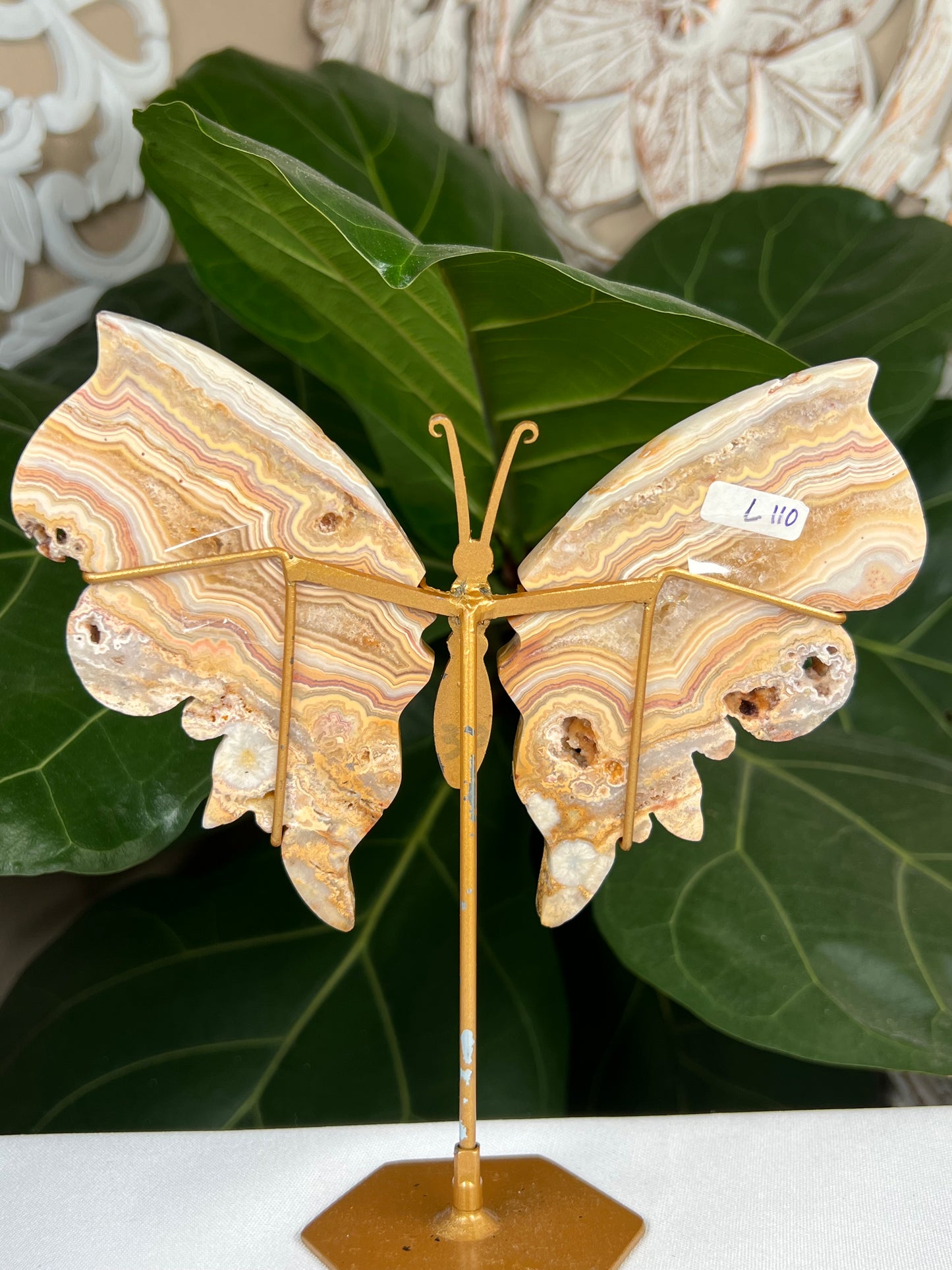 Crazy Lace Agate Wings