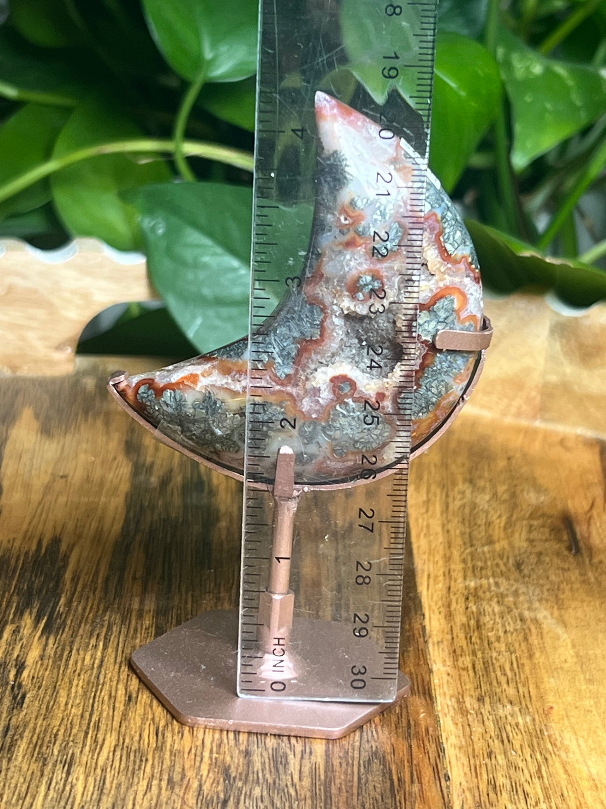Marcasite Moon: SG