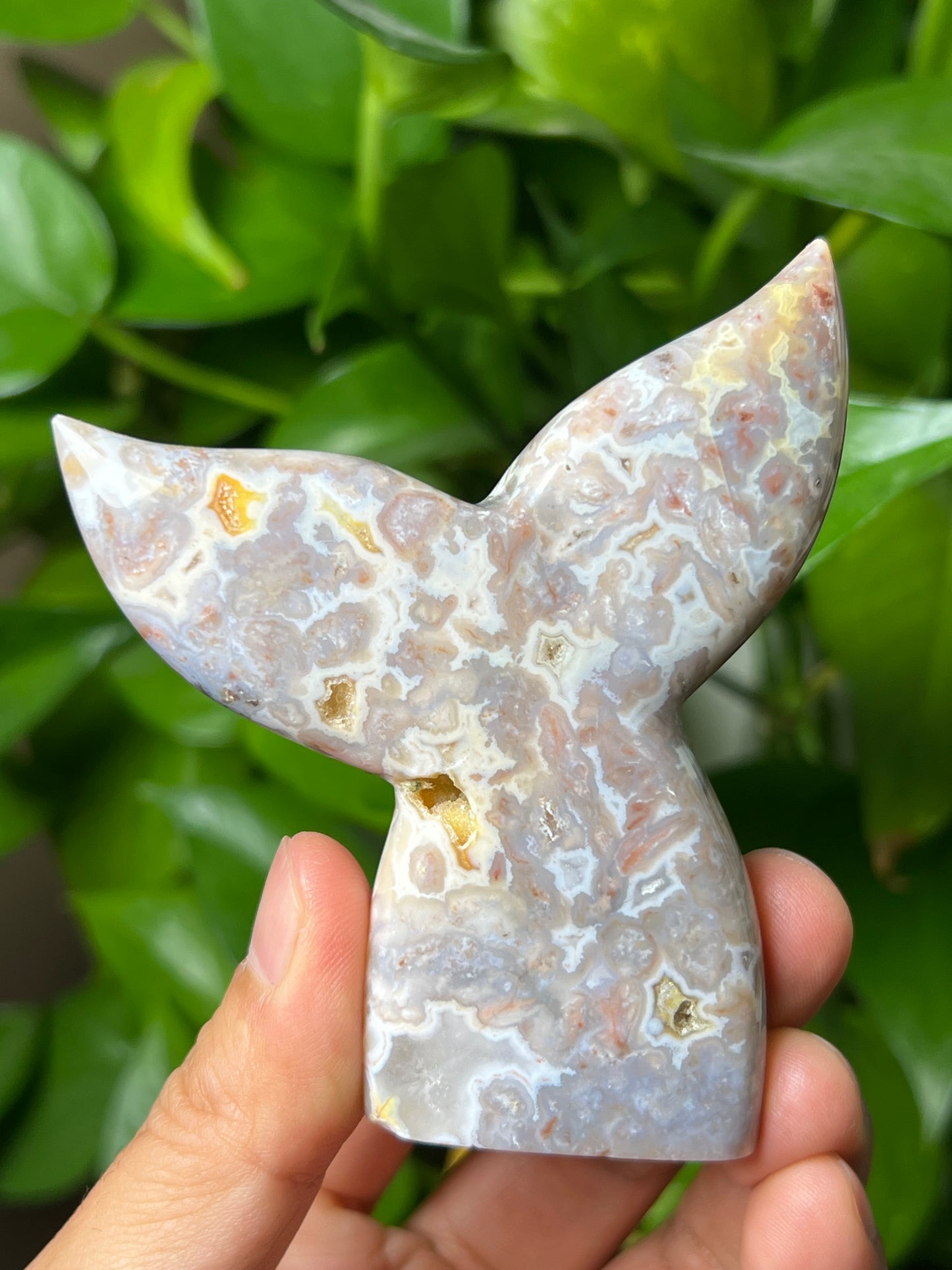 Sumatra Plume Agate Tail