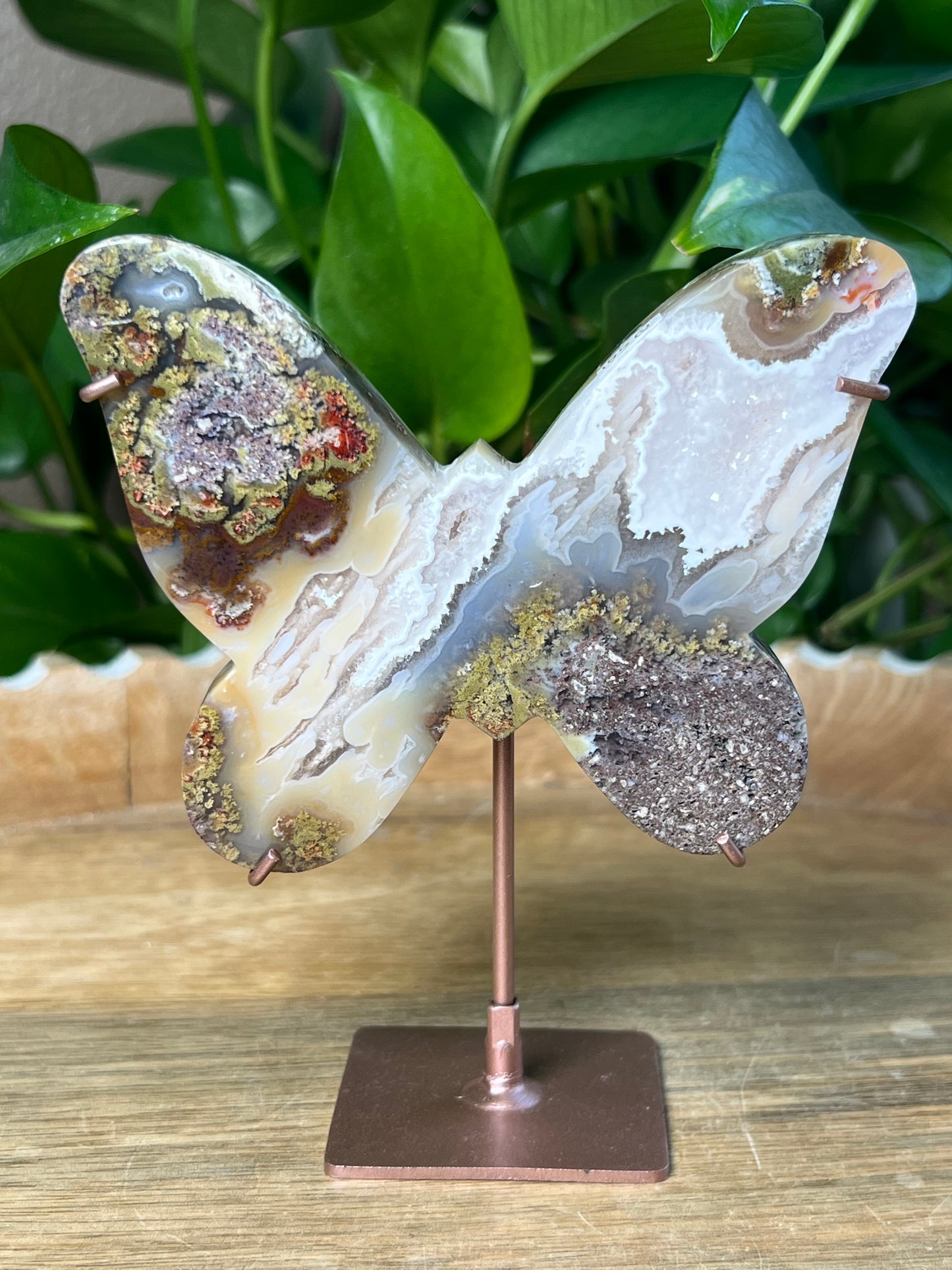 Scenic Moss Agate Butterfly