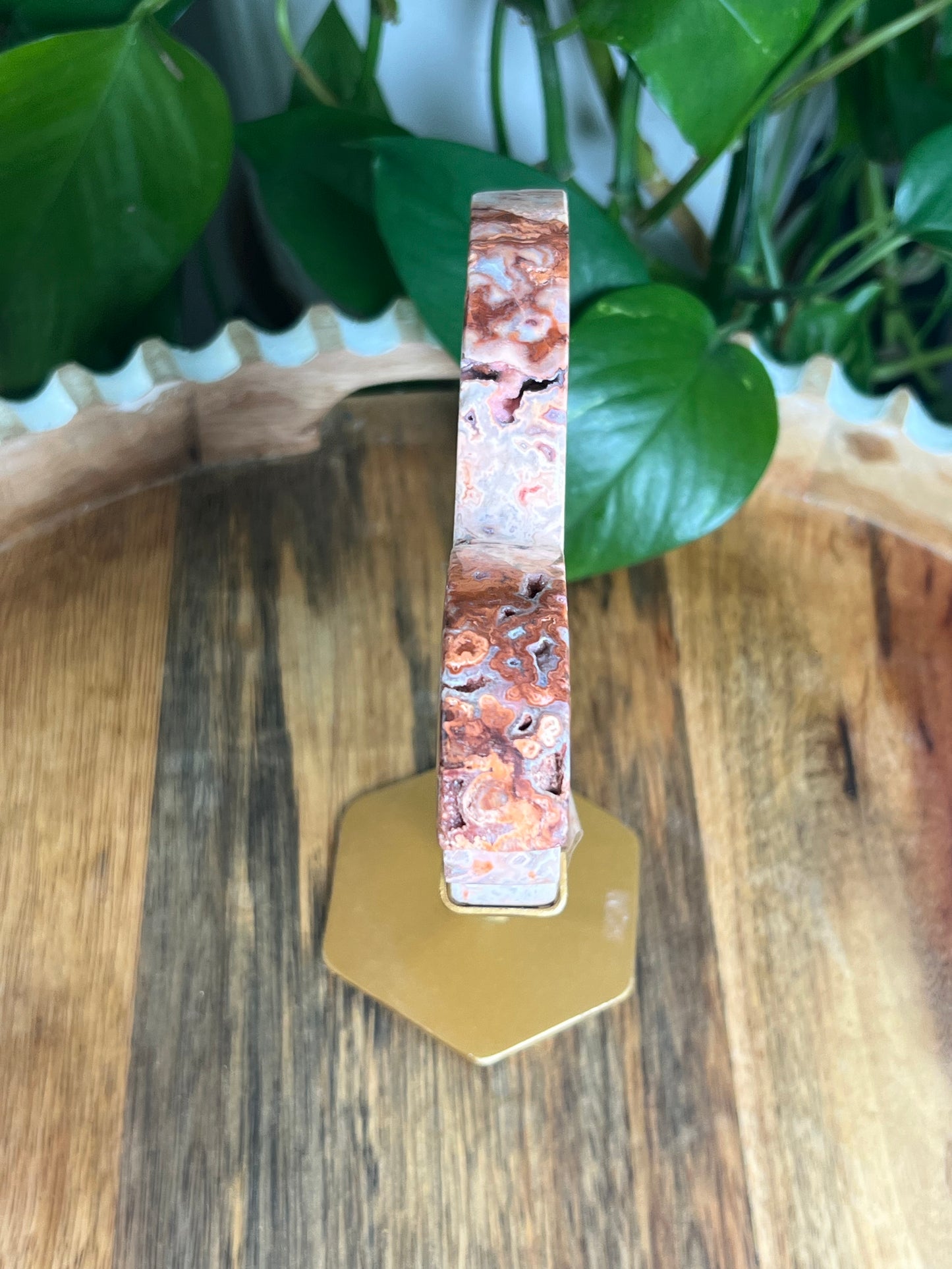 Crazy Lace Agate Butterfly: PE