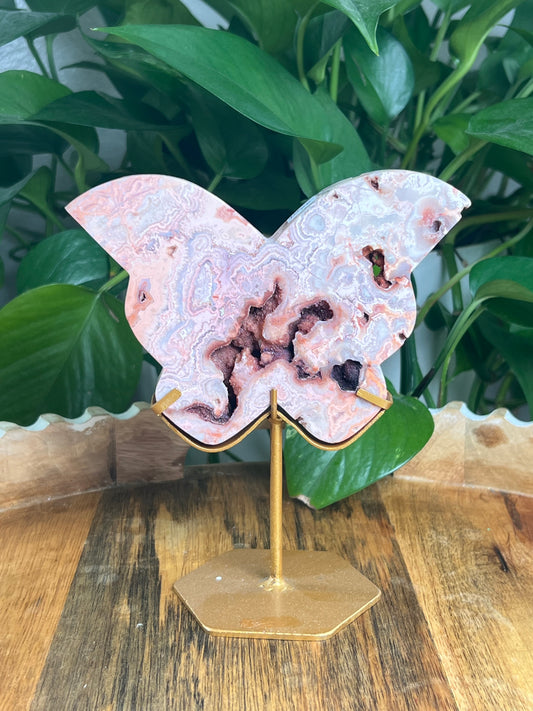 Crazy Lace Agate Butterfly: XE