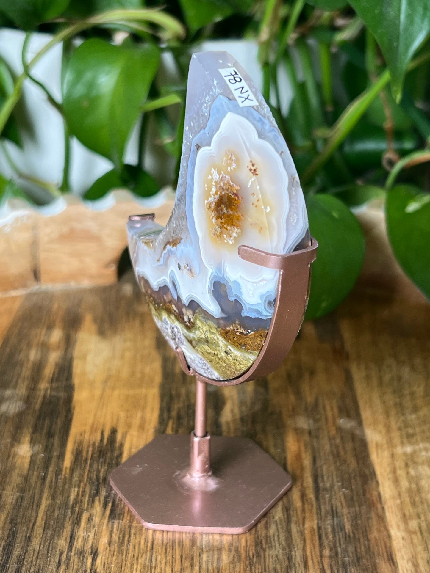 Scenic Moss Agate Moon