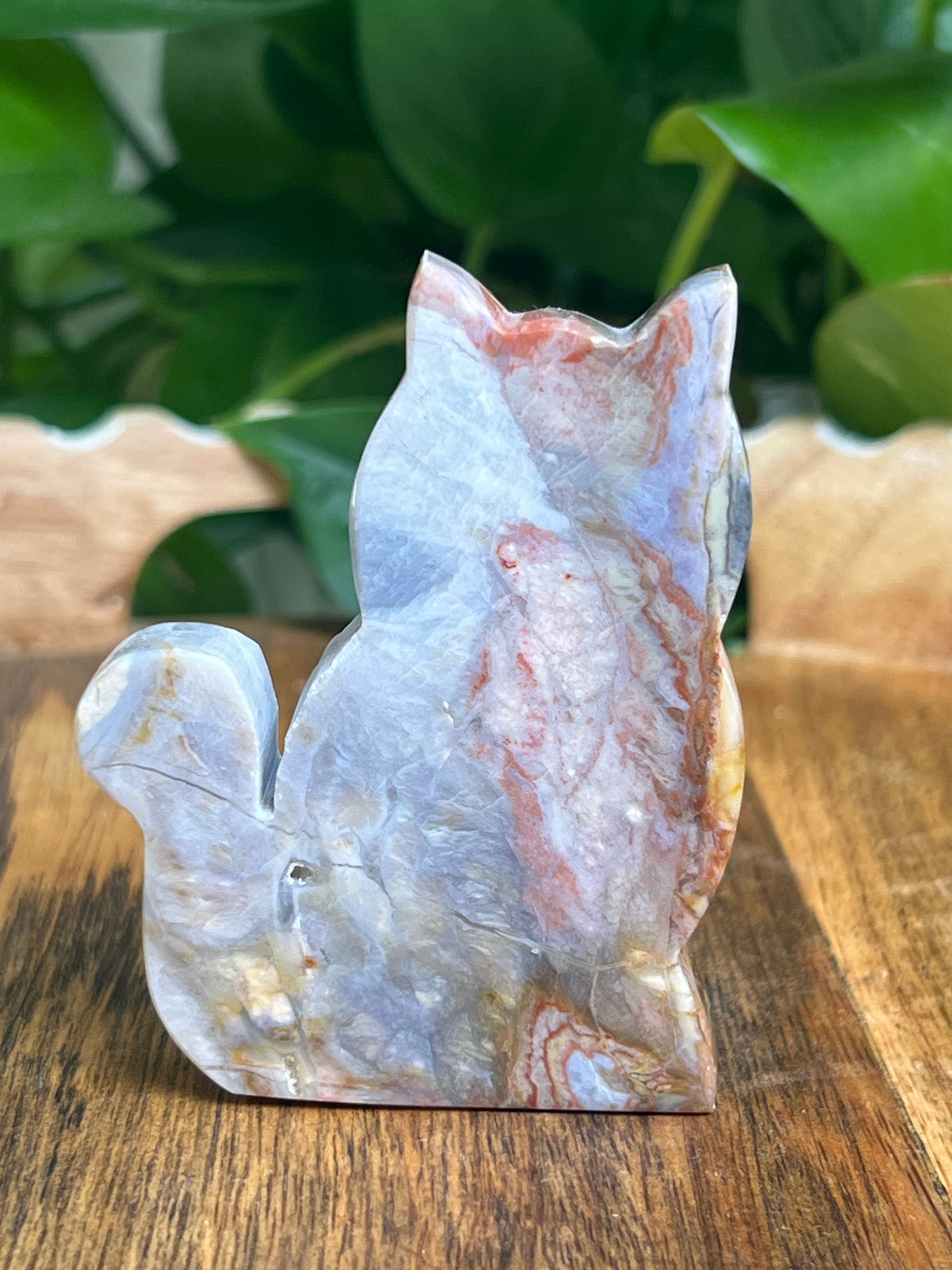 River Jasper Cat: BB