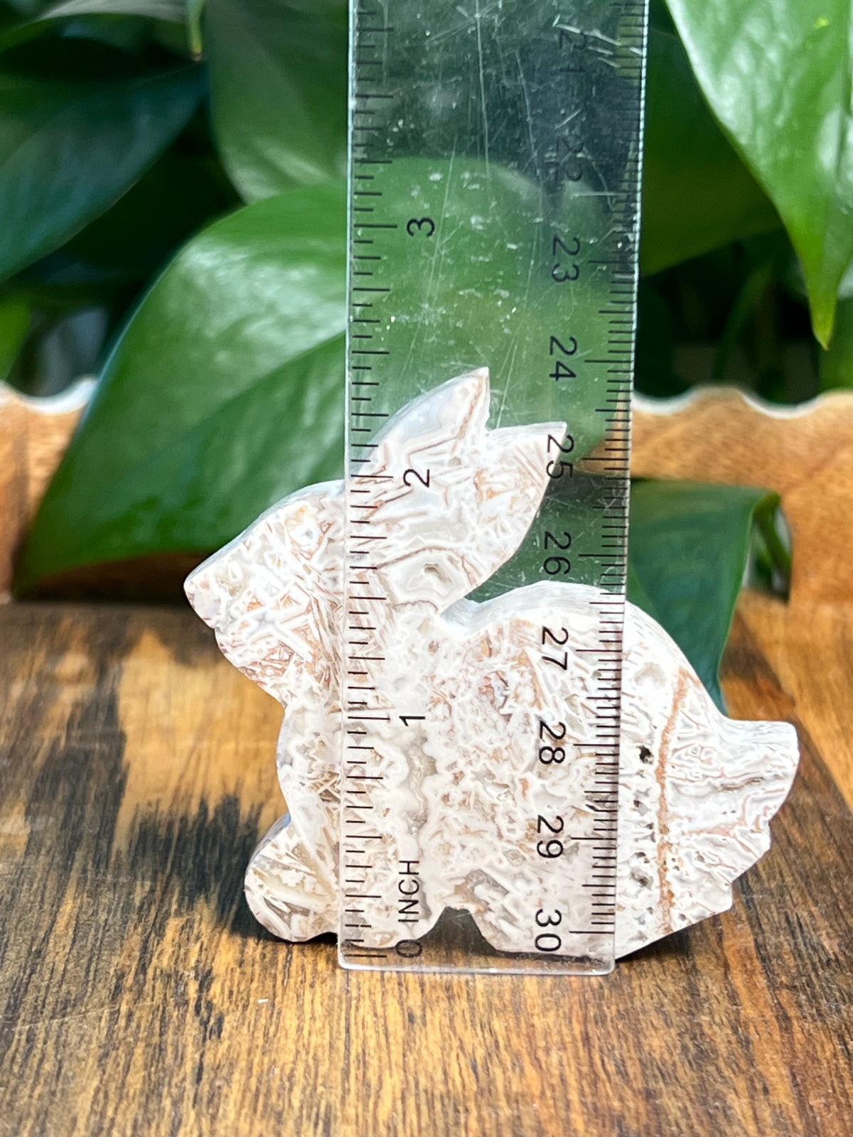 Tube Agate Bunnies