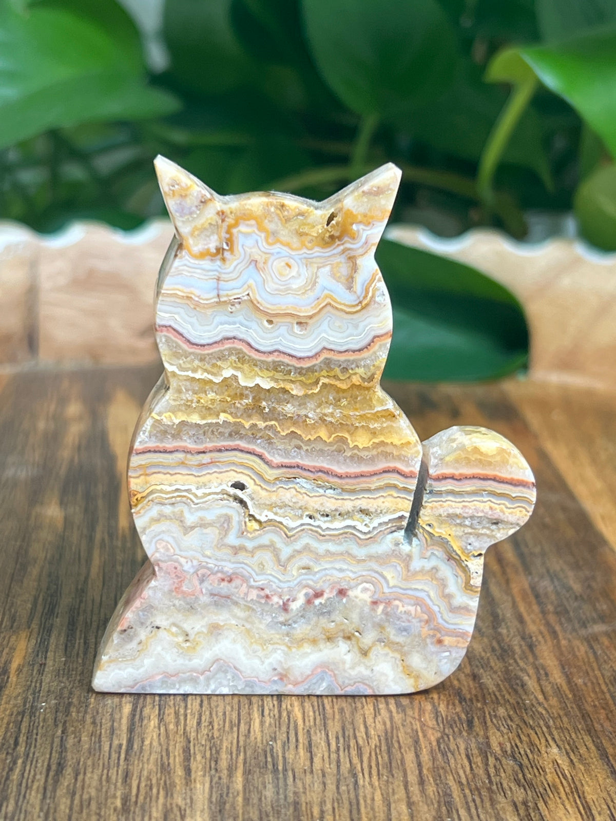 Crazy Lace Agate Cat: QA