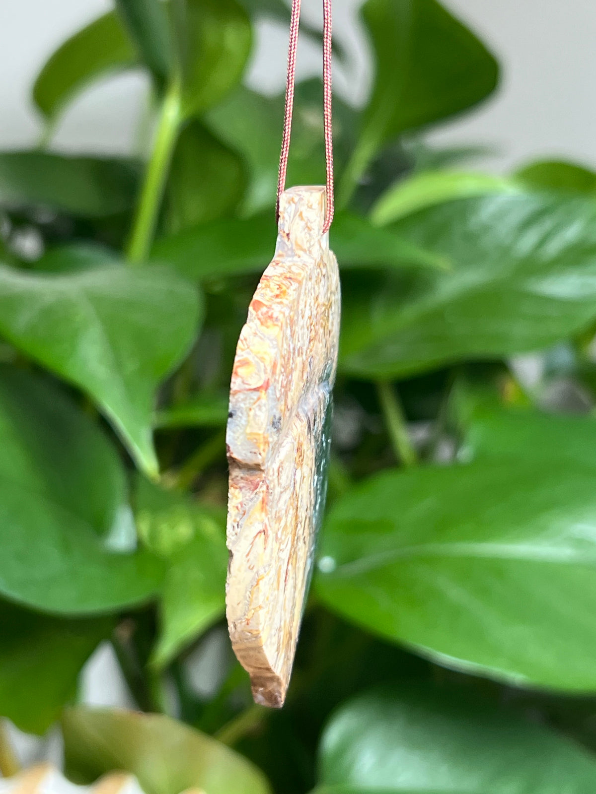 Palm Root Ornament Acorn: SE