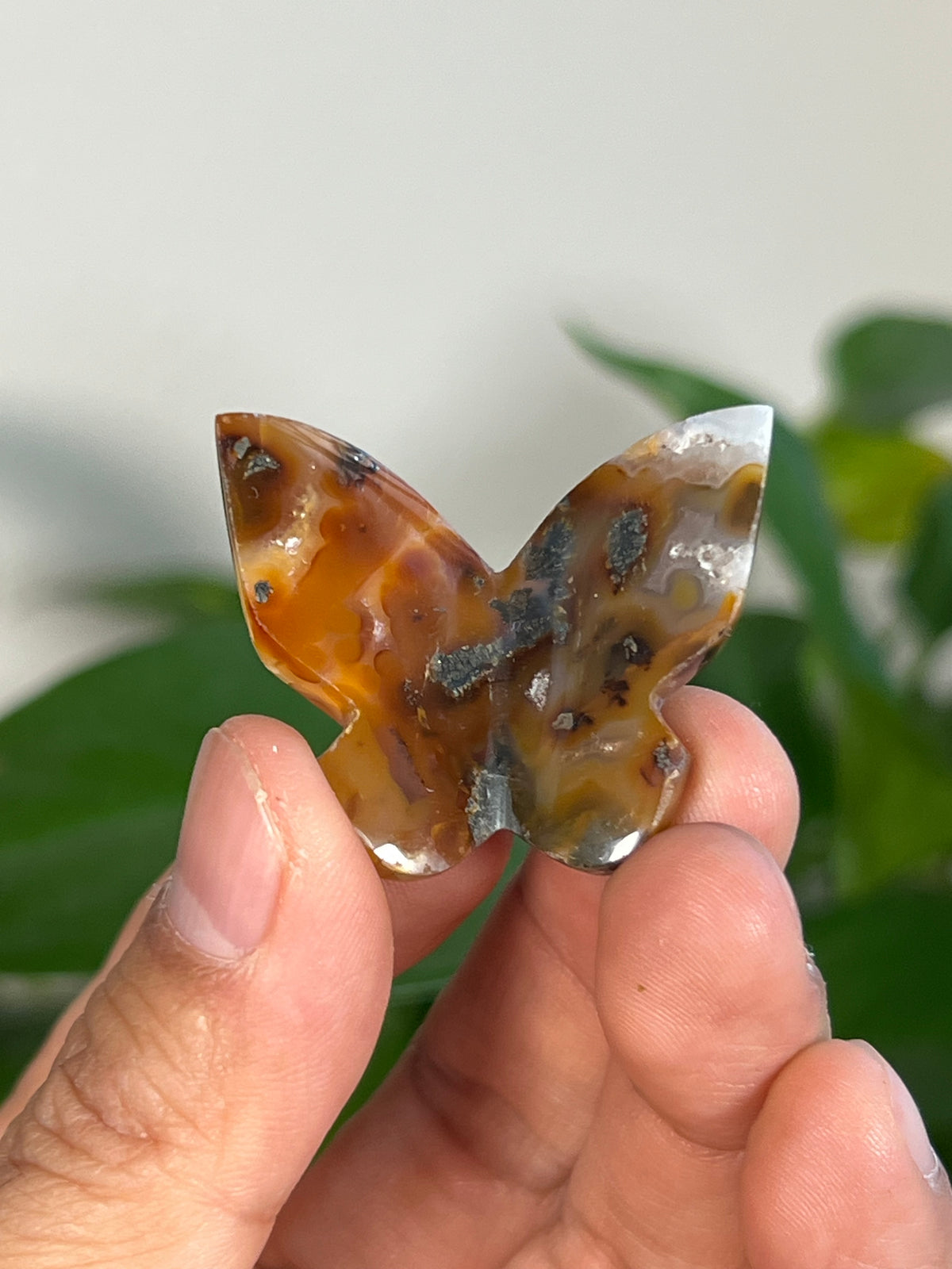 Marcasite 3D Mini Butterflies