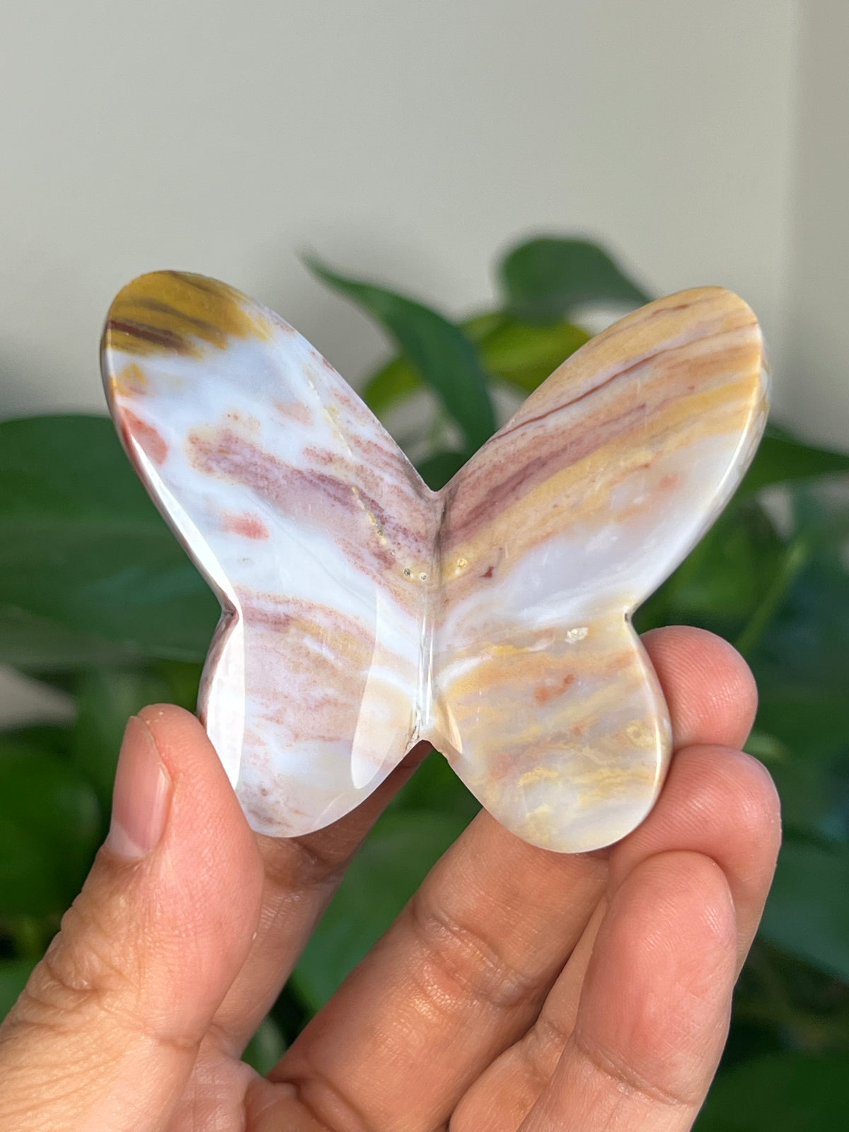 Milky River Jasper 3D Butterflies