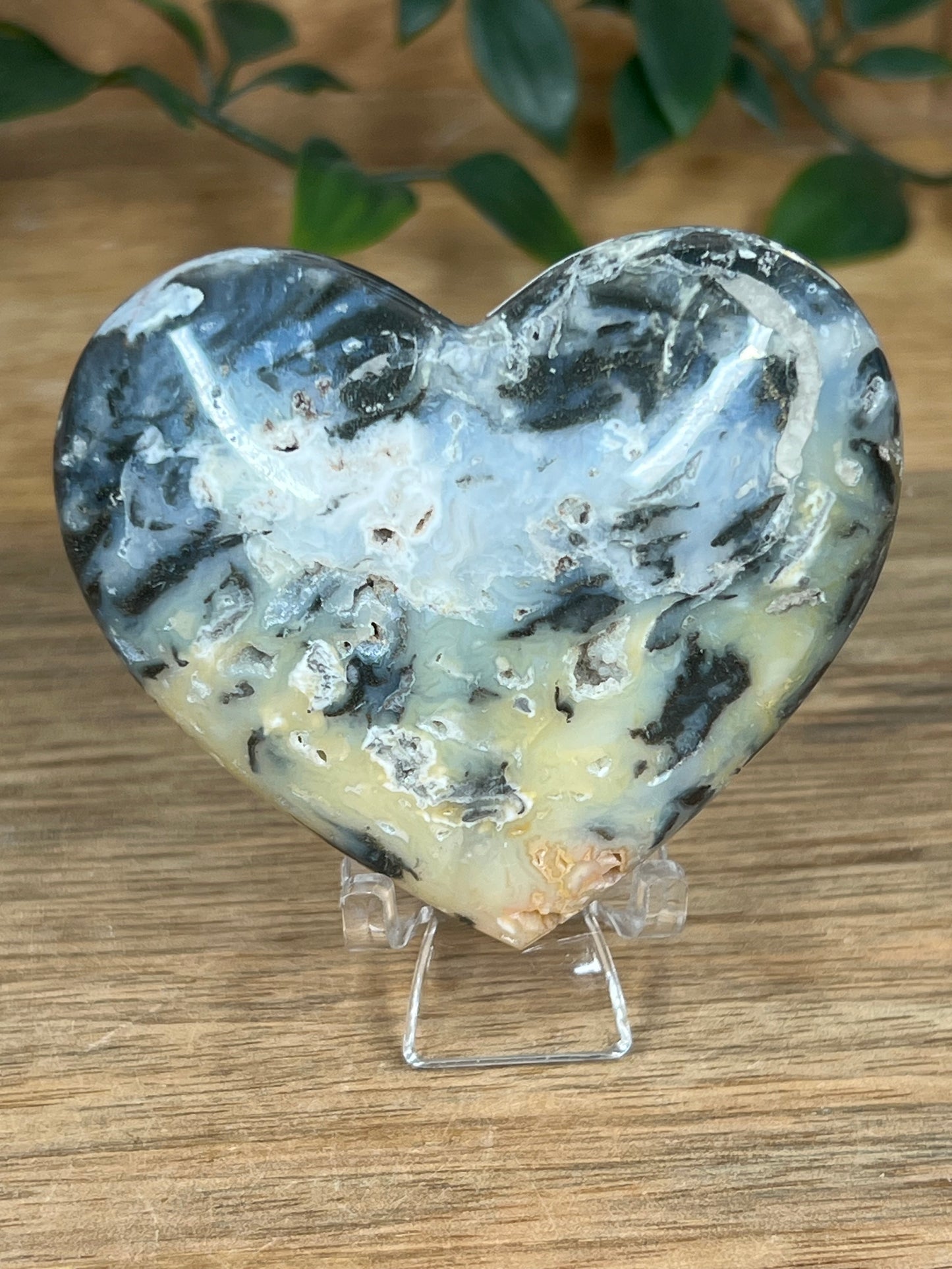 Rainbow Plume Agate Heart