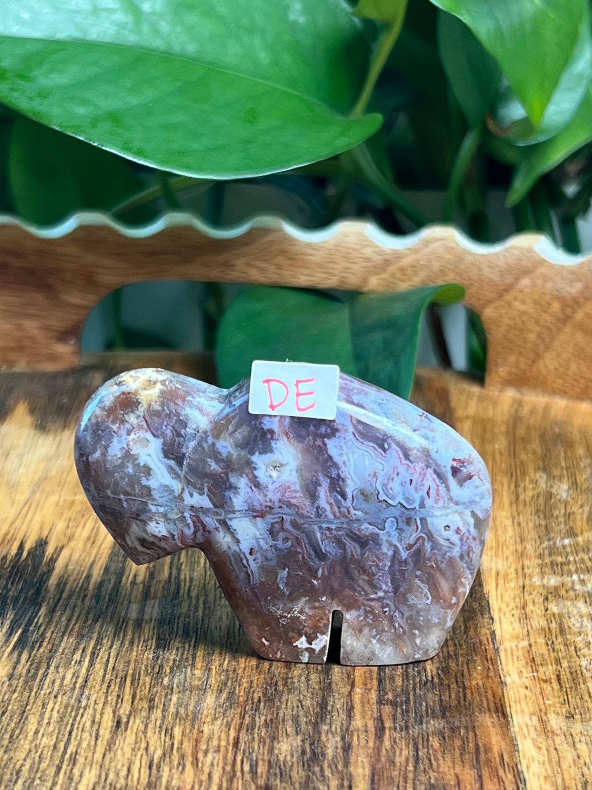 Sumatra Plume Agate Mini Buffalos