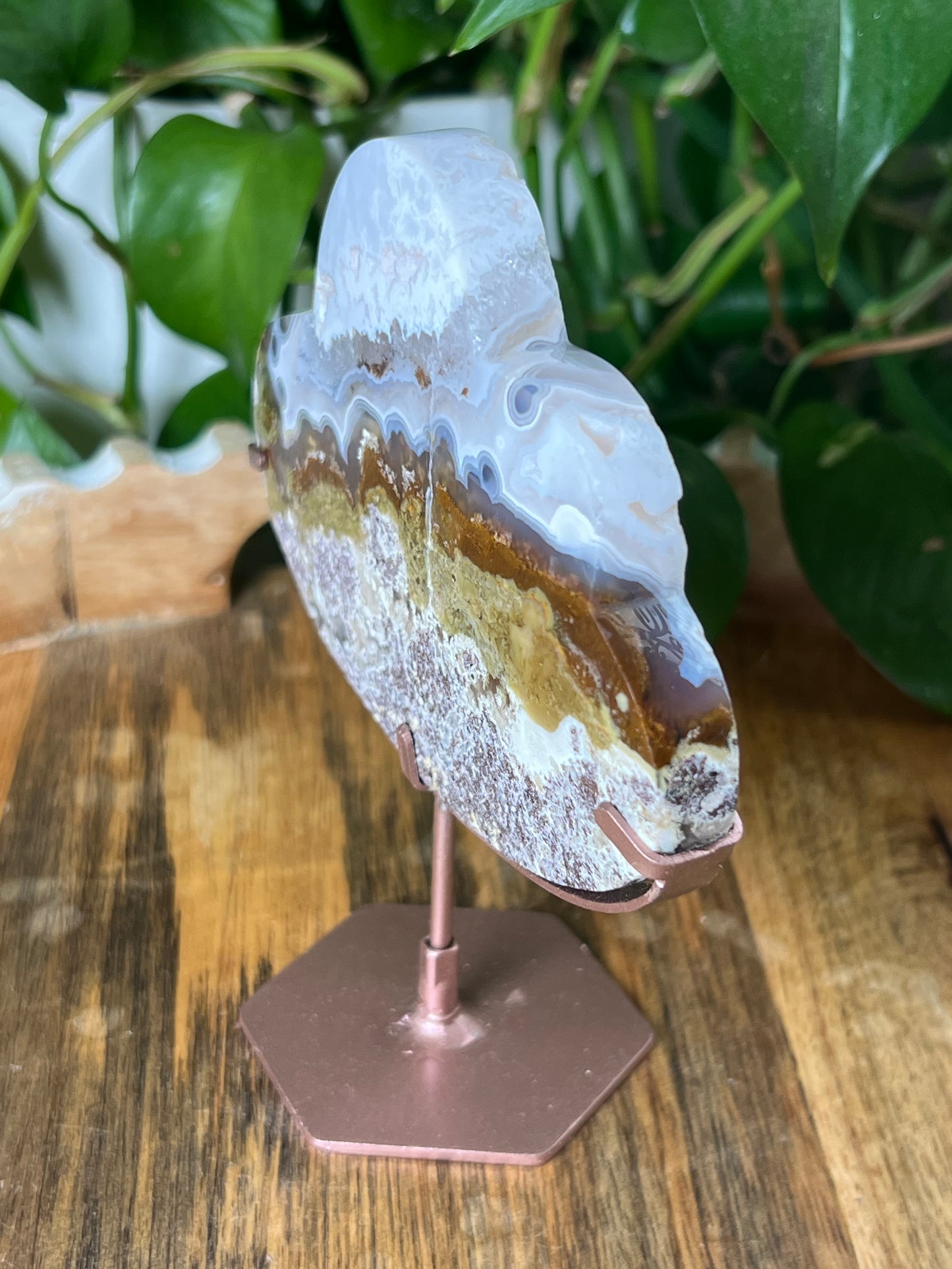 Scenic Moss Agate Cloud